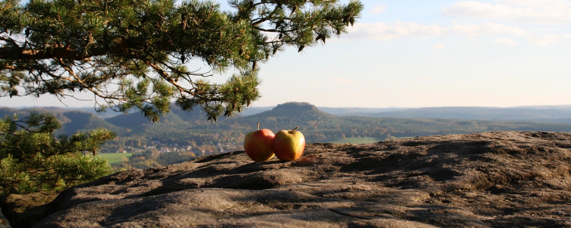 Der Natur auf der Spur