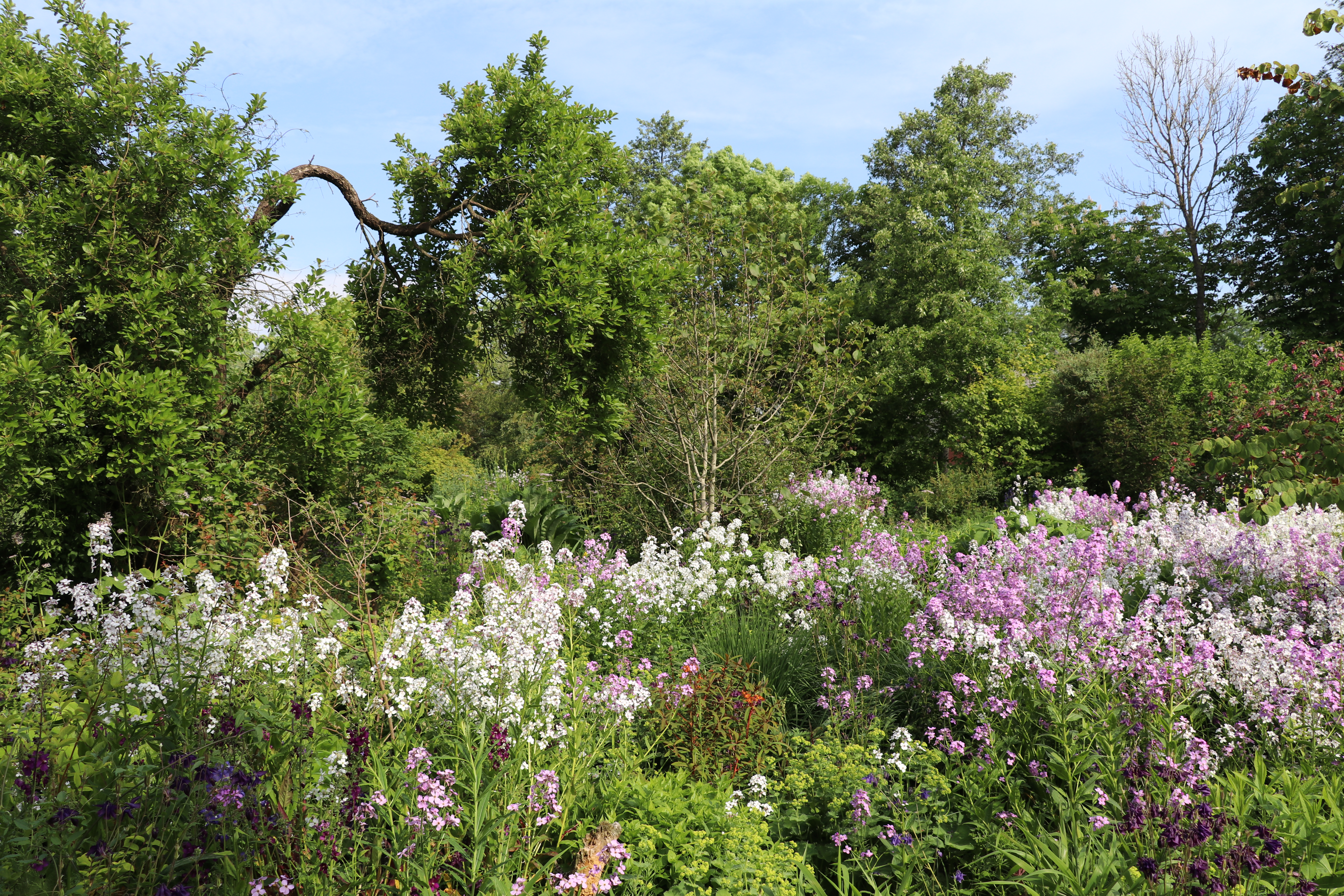 MORI-Garten - Odisheim