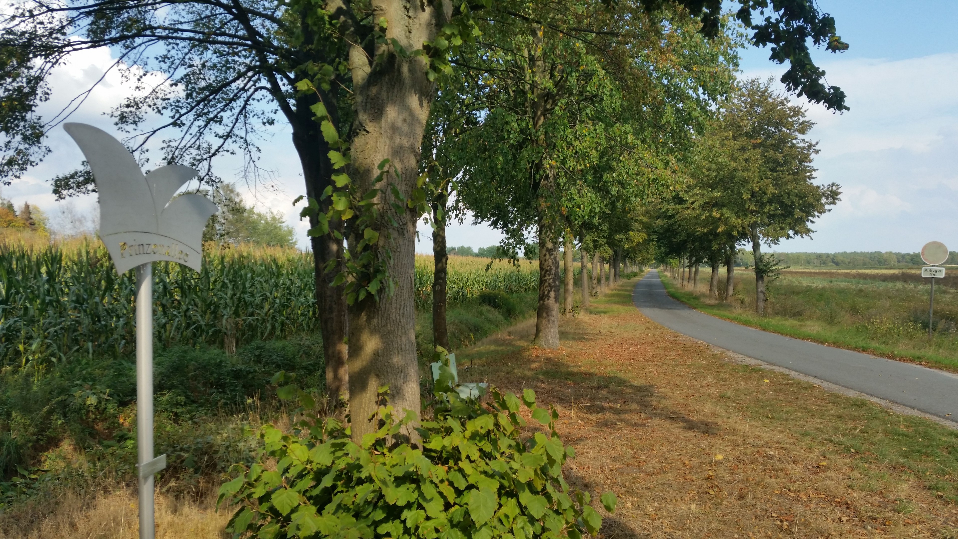 Rundling und Riese