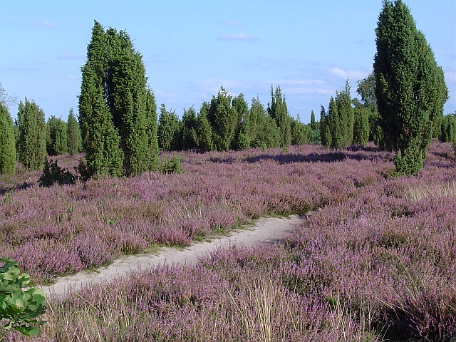 Ellerndorfer Heide Tour
