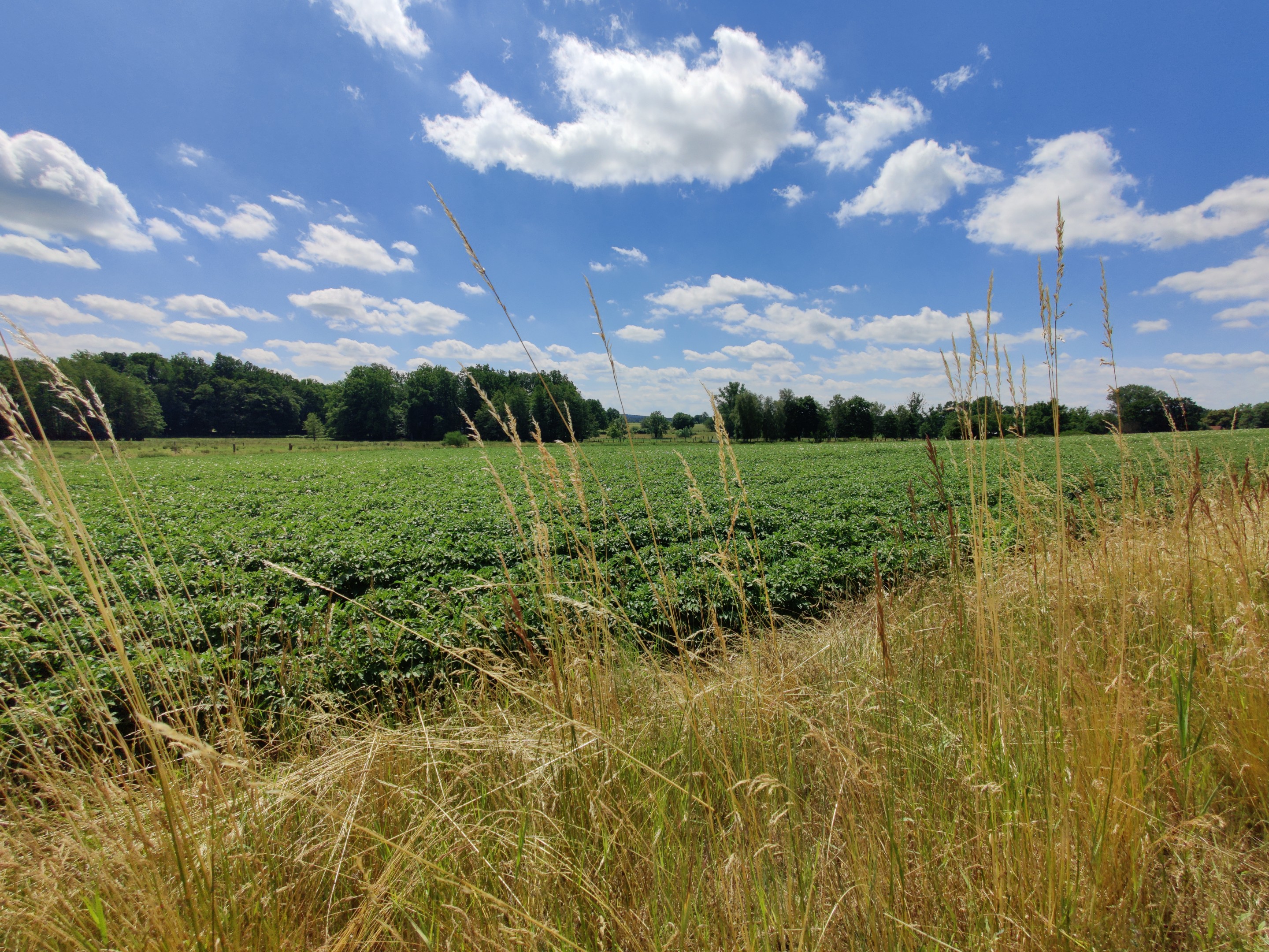 Durch das Suderburger Land