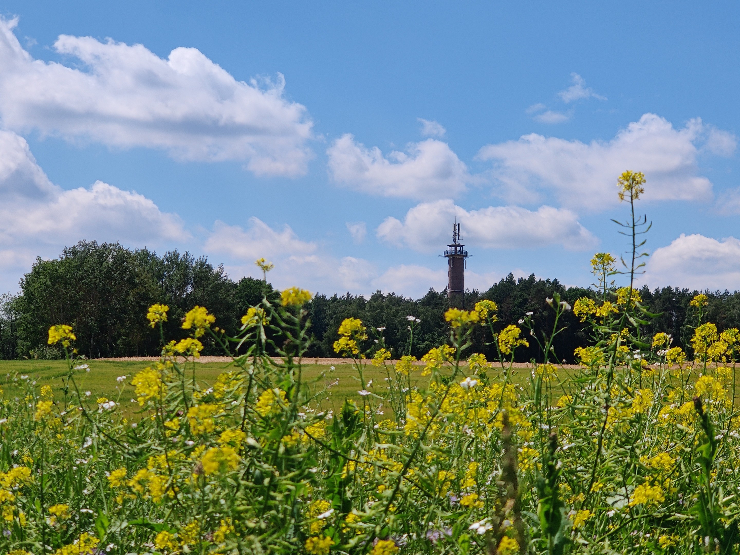 Uhlenköpers Entdeckertour