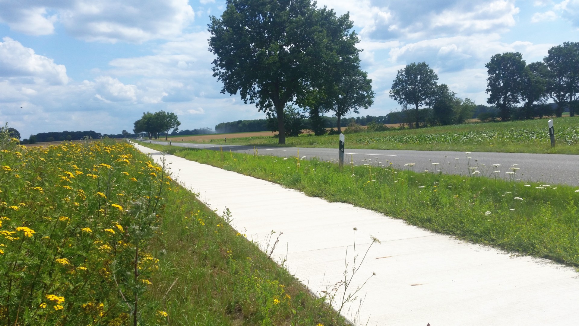 Durch die Clenzer Schweiz