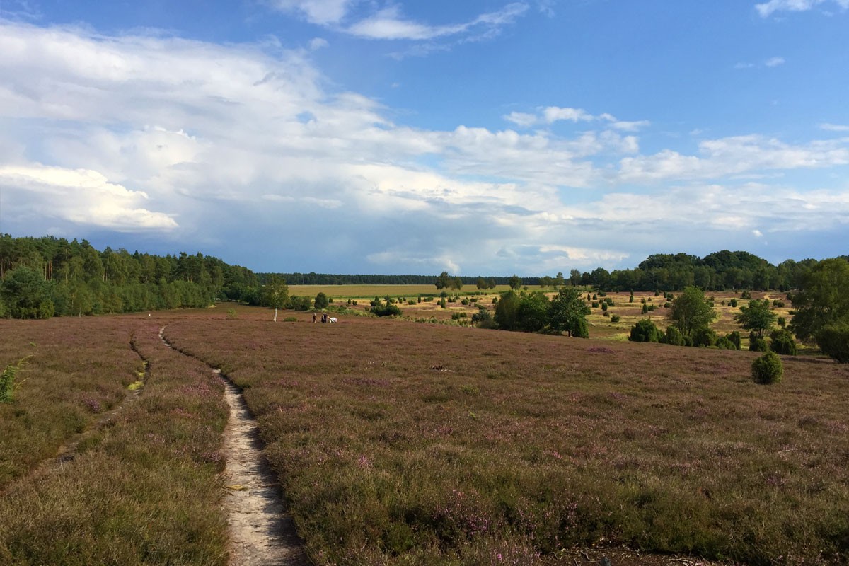 Ellerndorfer Wacholderheide - Eimke - Wichtenbeck
