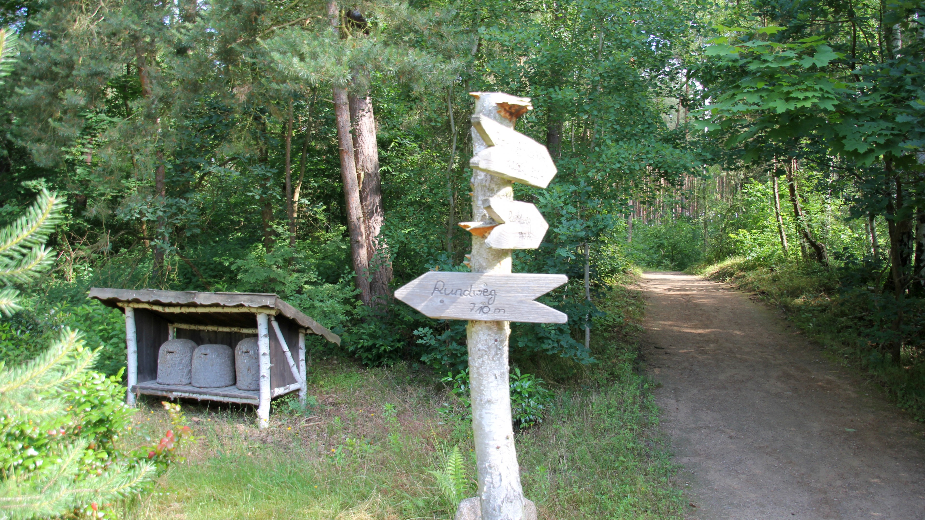 Rollstuhlwanderweg