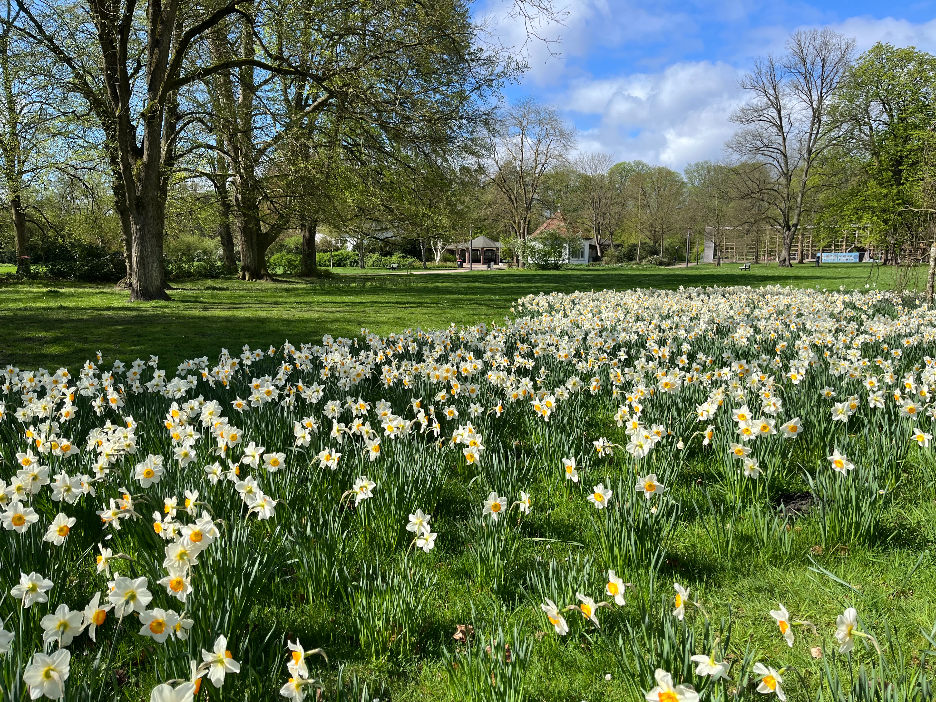 Kurpark Lüneburg