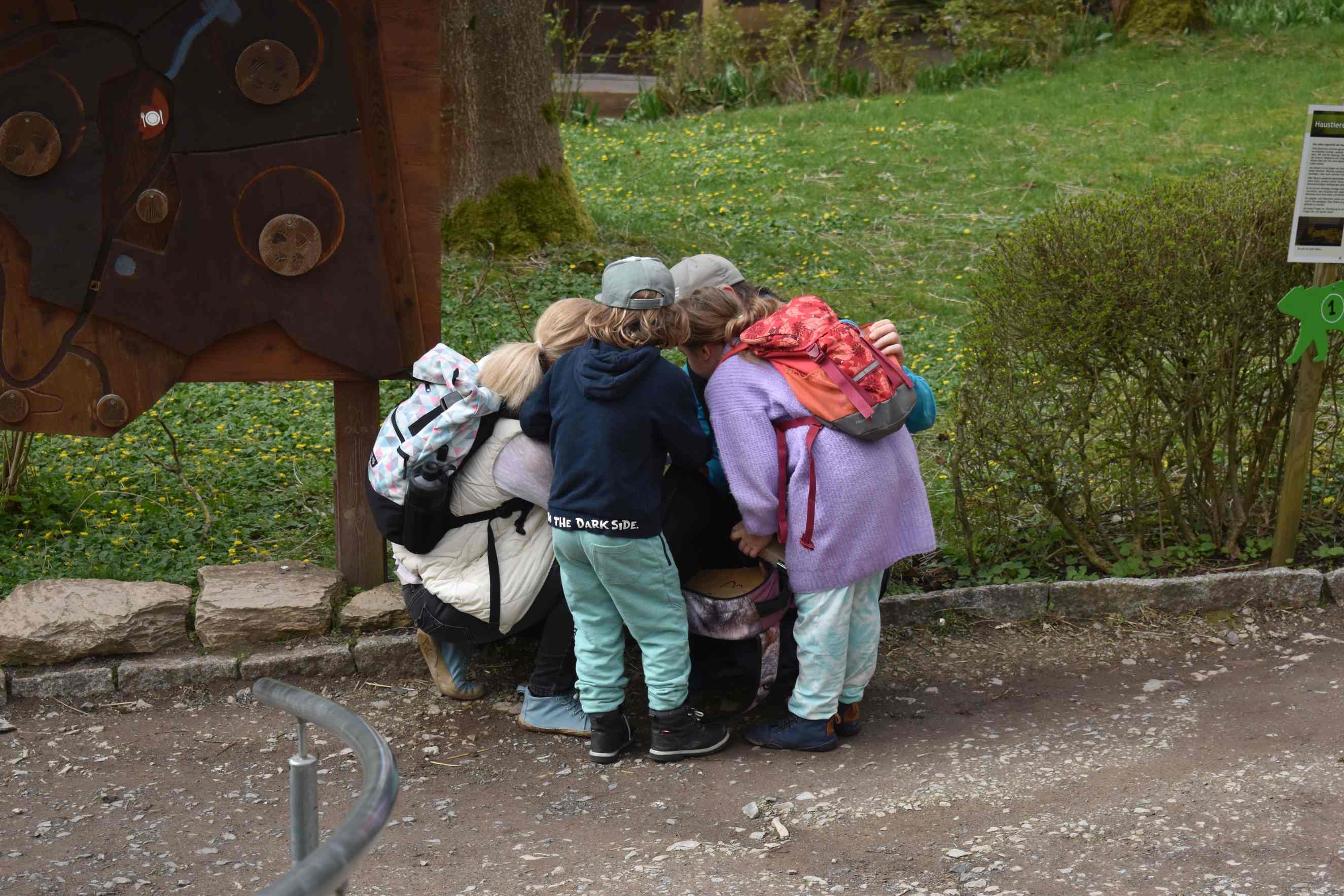 Alternativer Bärenpark Worbis - Escape Game Bärenretter