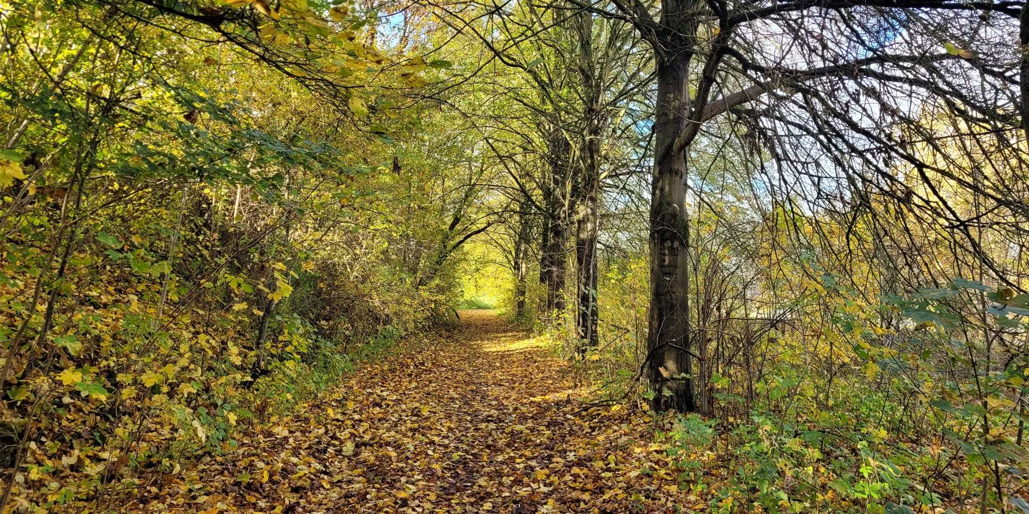 Reelser Rundwanderweg