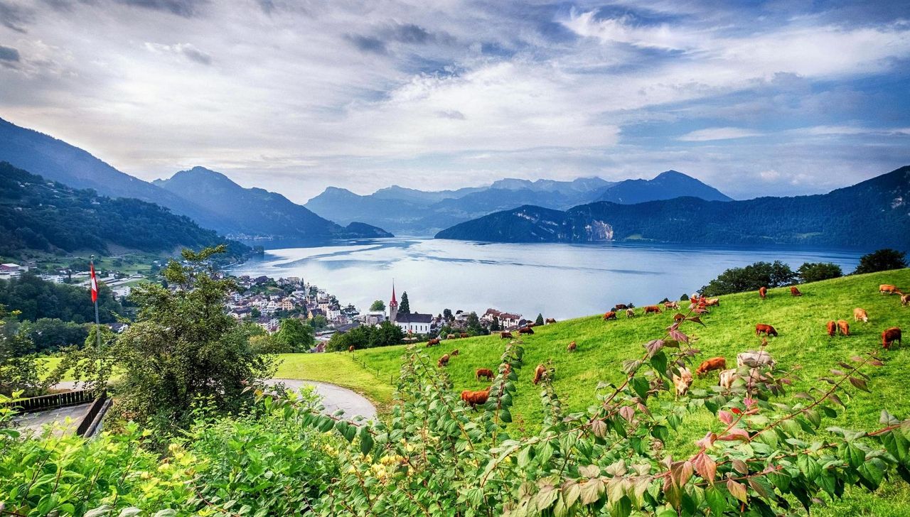 csm_kurhaus-stotmar-chalet-blick-see-berge-weggisvitznau_2_552764581f.jpg csm_kurhaus-stotmar-chalet-blick-see-berge-weggisvitznau_2_552764581f.jpg