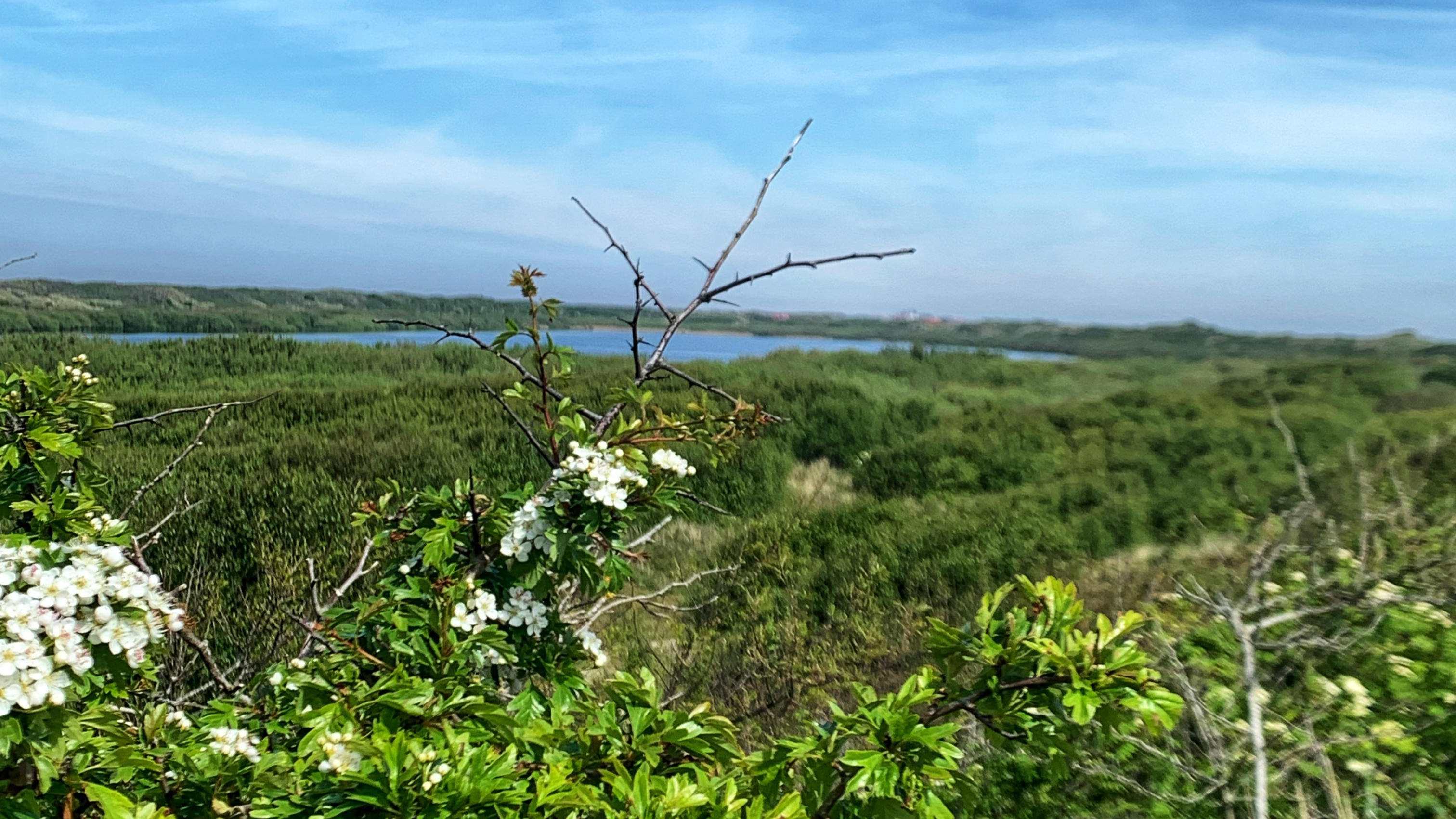 Aussichtsdüne Hammersee Nordwest Dünenlandschaft