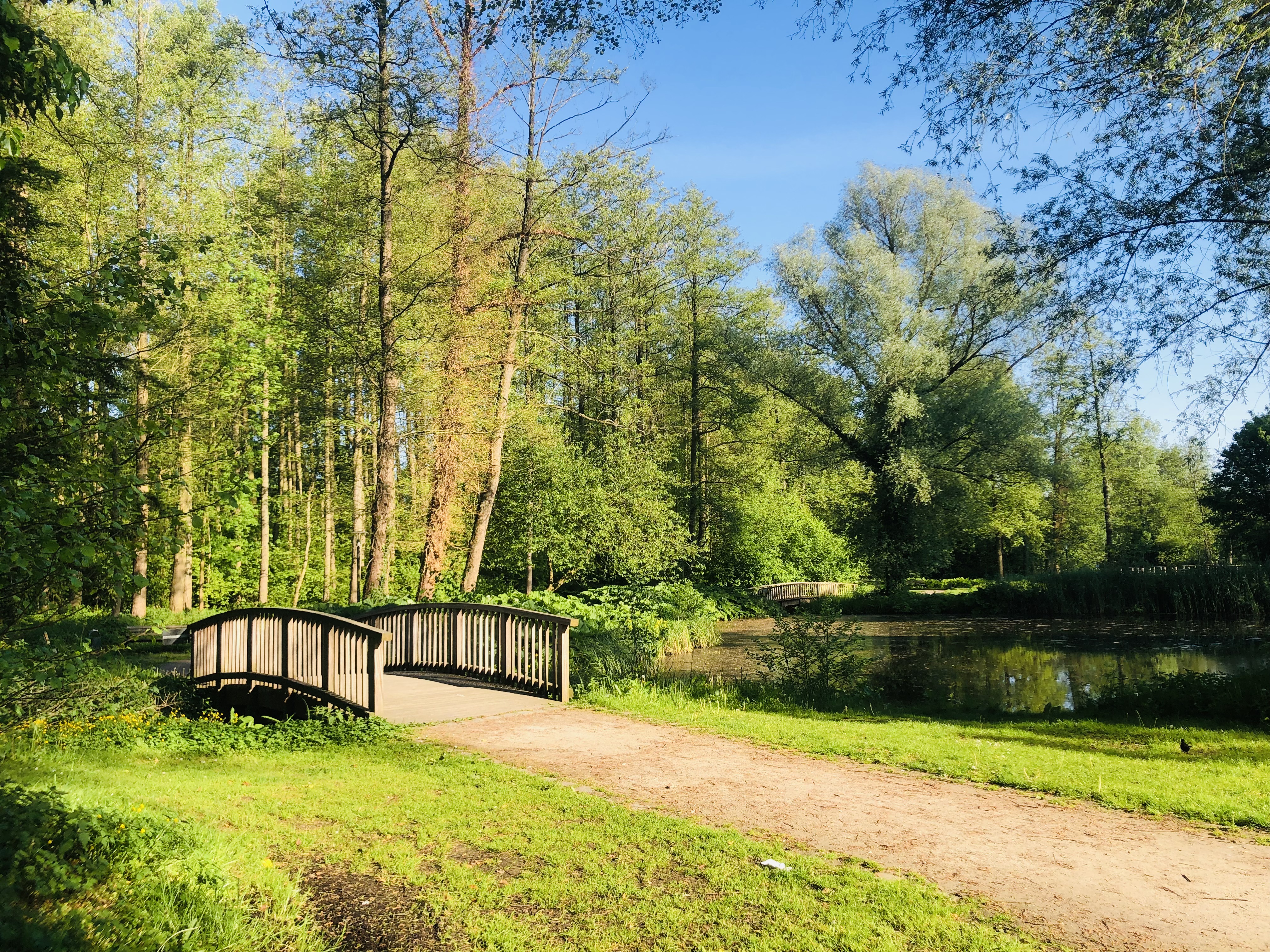 Die Harsefeld-Runde