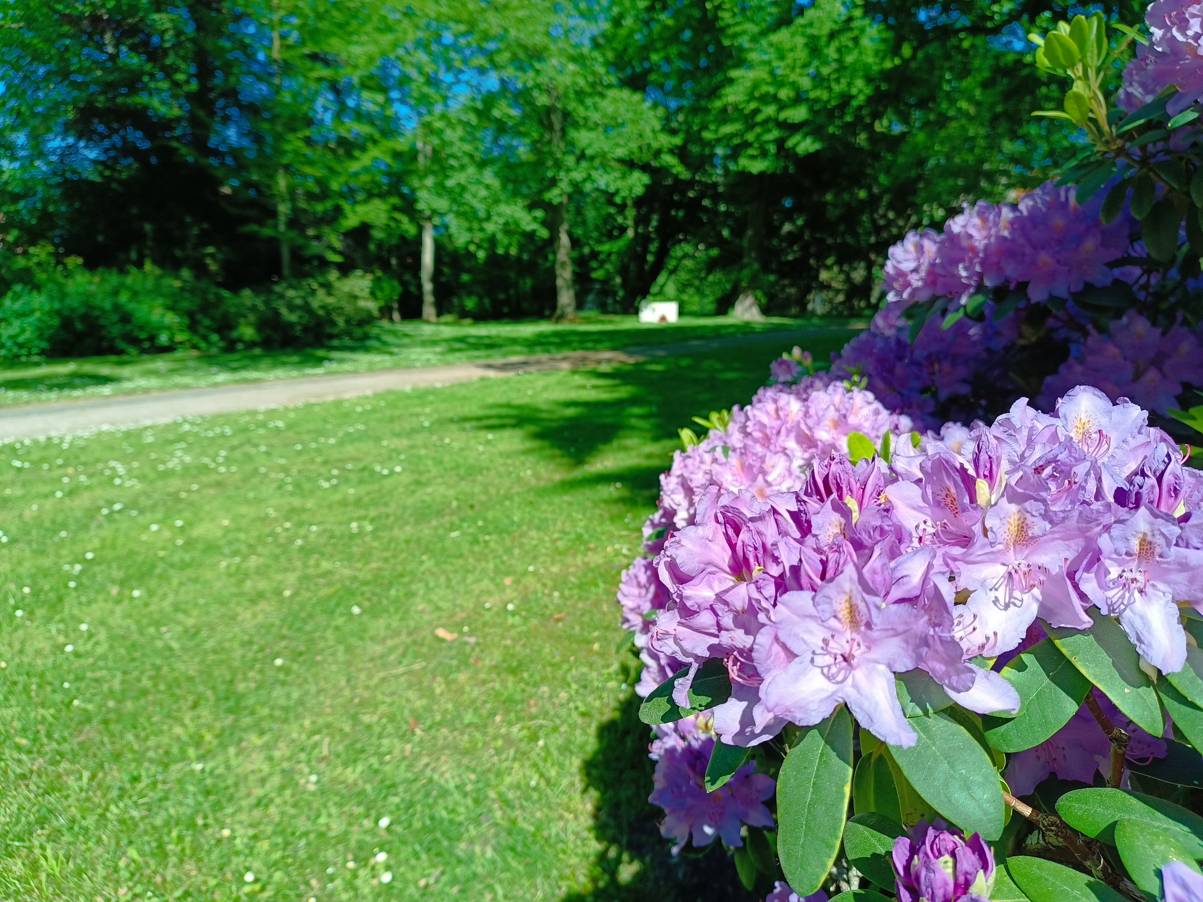Schlosspark Bleckede