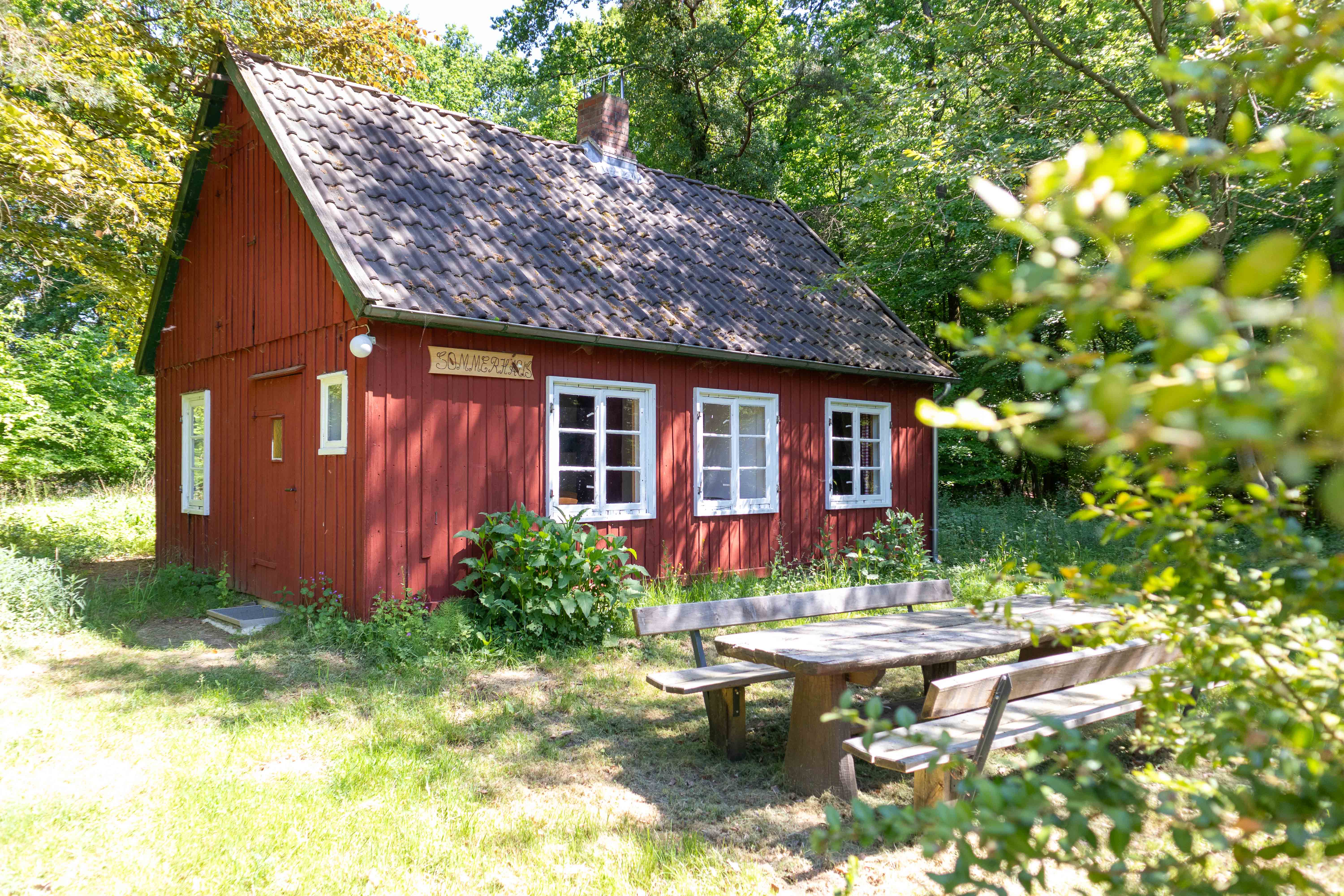 Egestorf_Naturcamp_ccbysa_FredericWolf_15052024_web (8 von 11).JPG