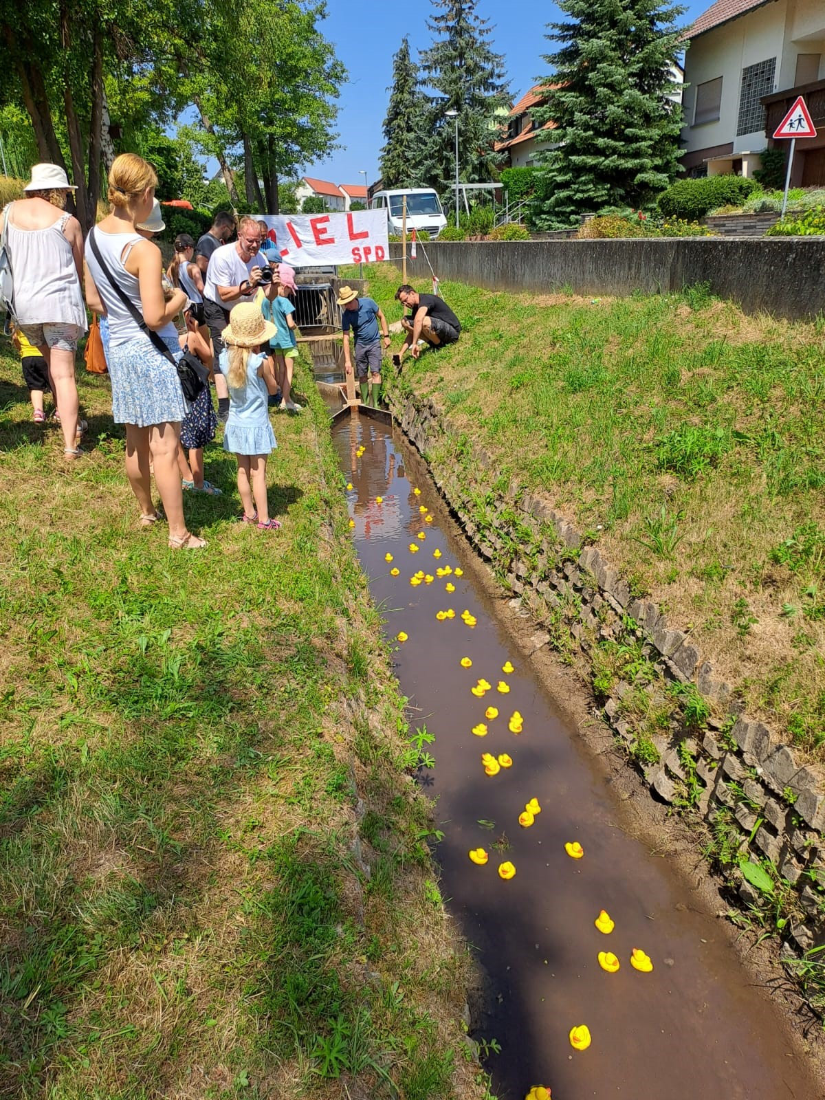 Entenrennen auf dem Kohlbach