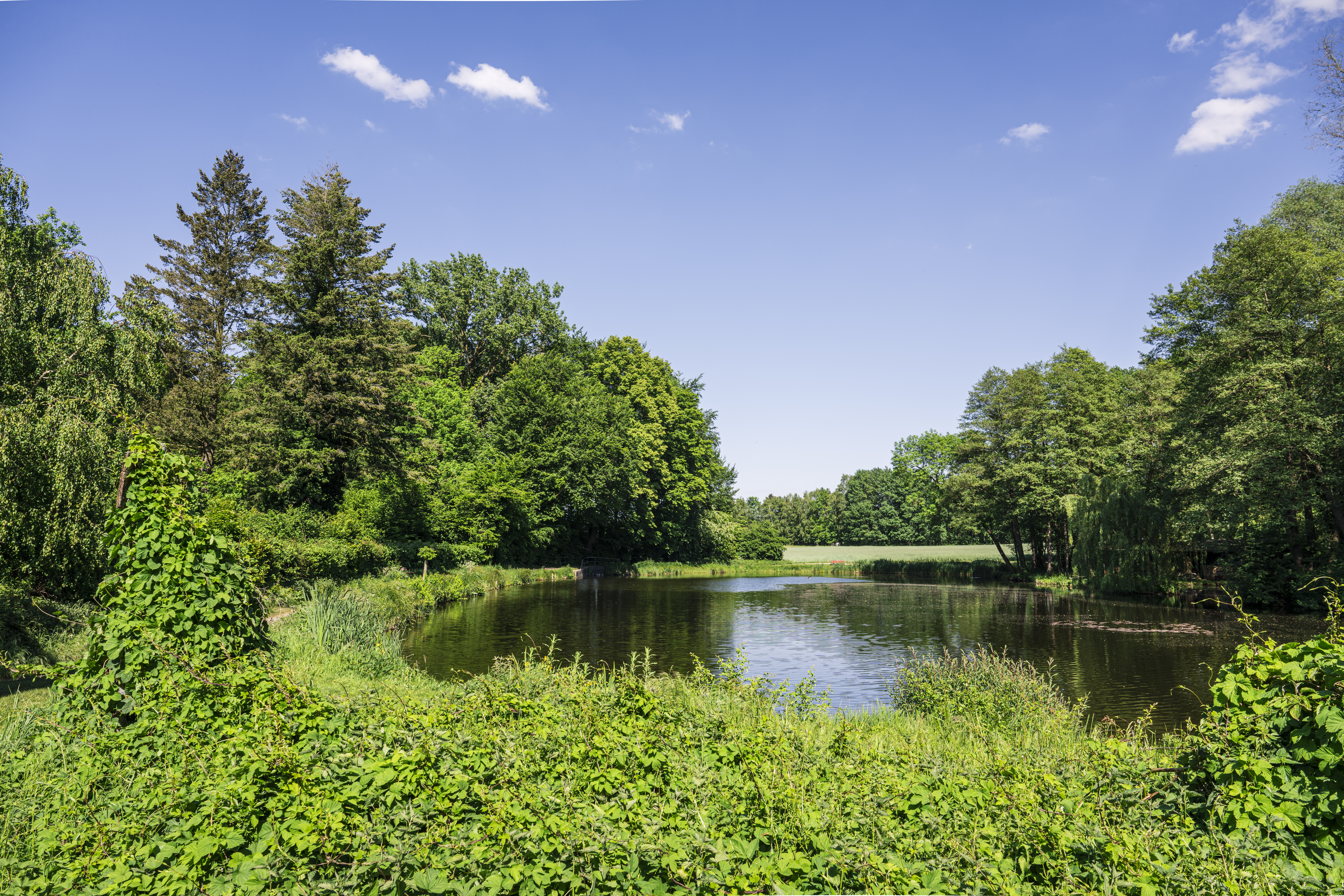 Mühlenteiche bei der Domäne Scharnebeck