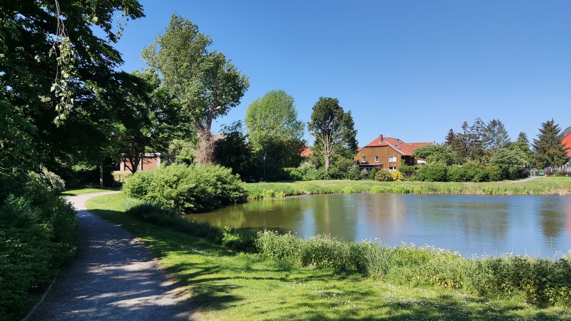 Dorfteich Stederdorf