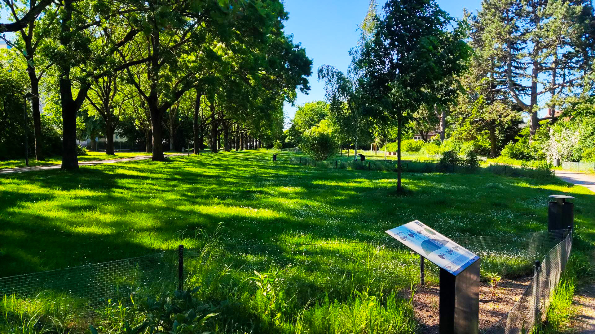 Hoher Weg Arzneimittelgarten