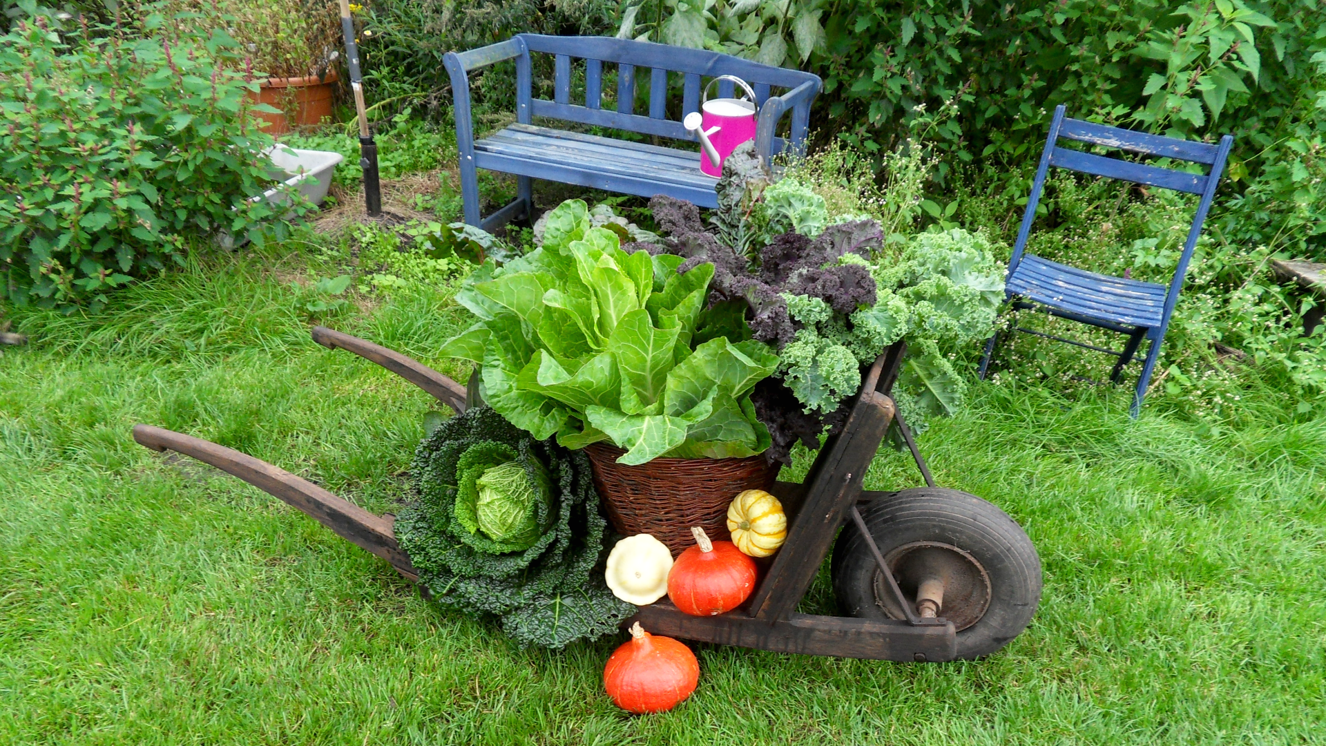 Green & Goods - Jochen Krentzel