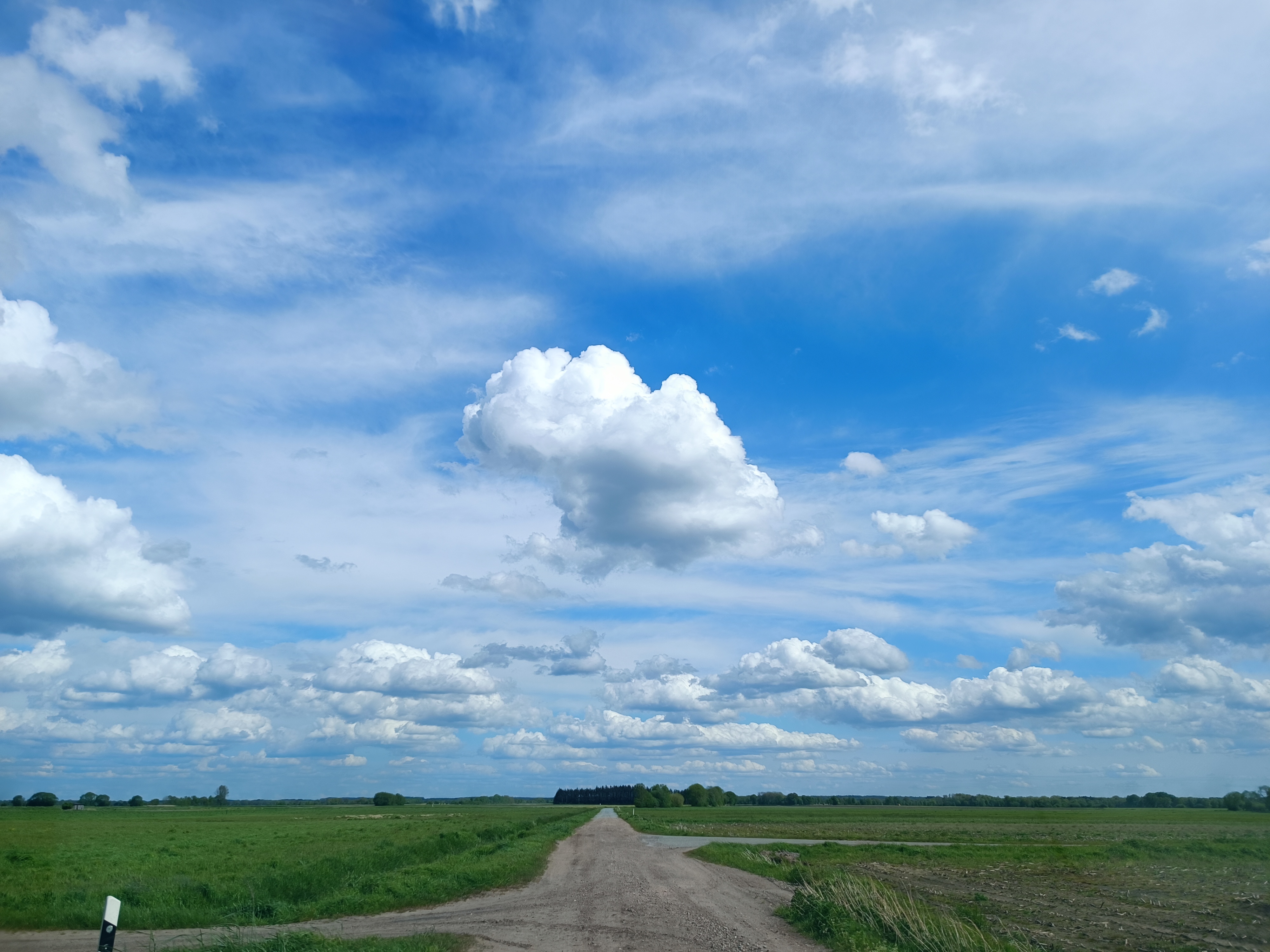Weite und Moor