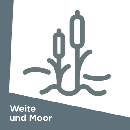 Weite und Moor