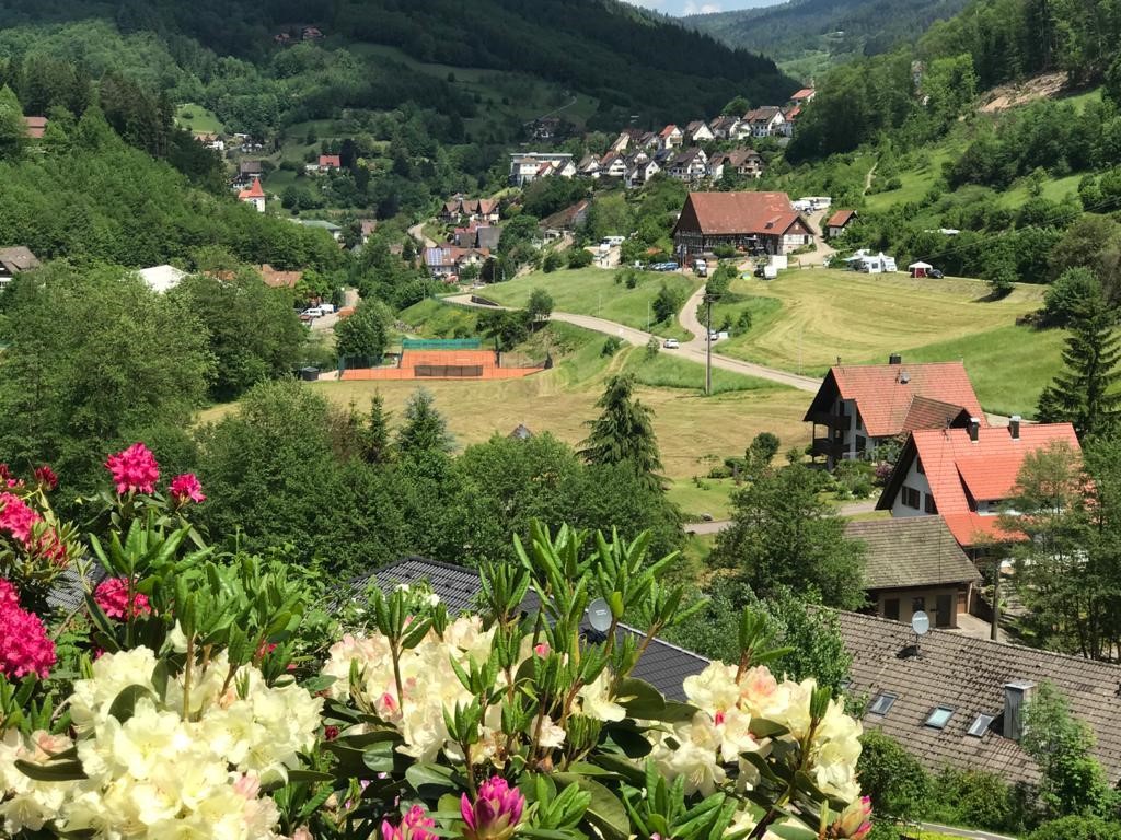 sonnensegel fr maxi cosi Maxi-Cosi Sonnenschutz