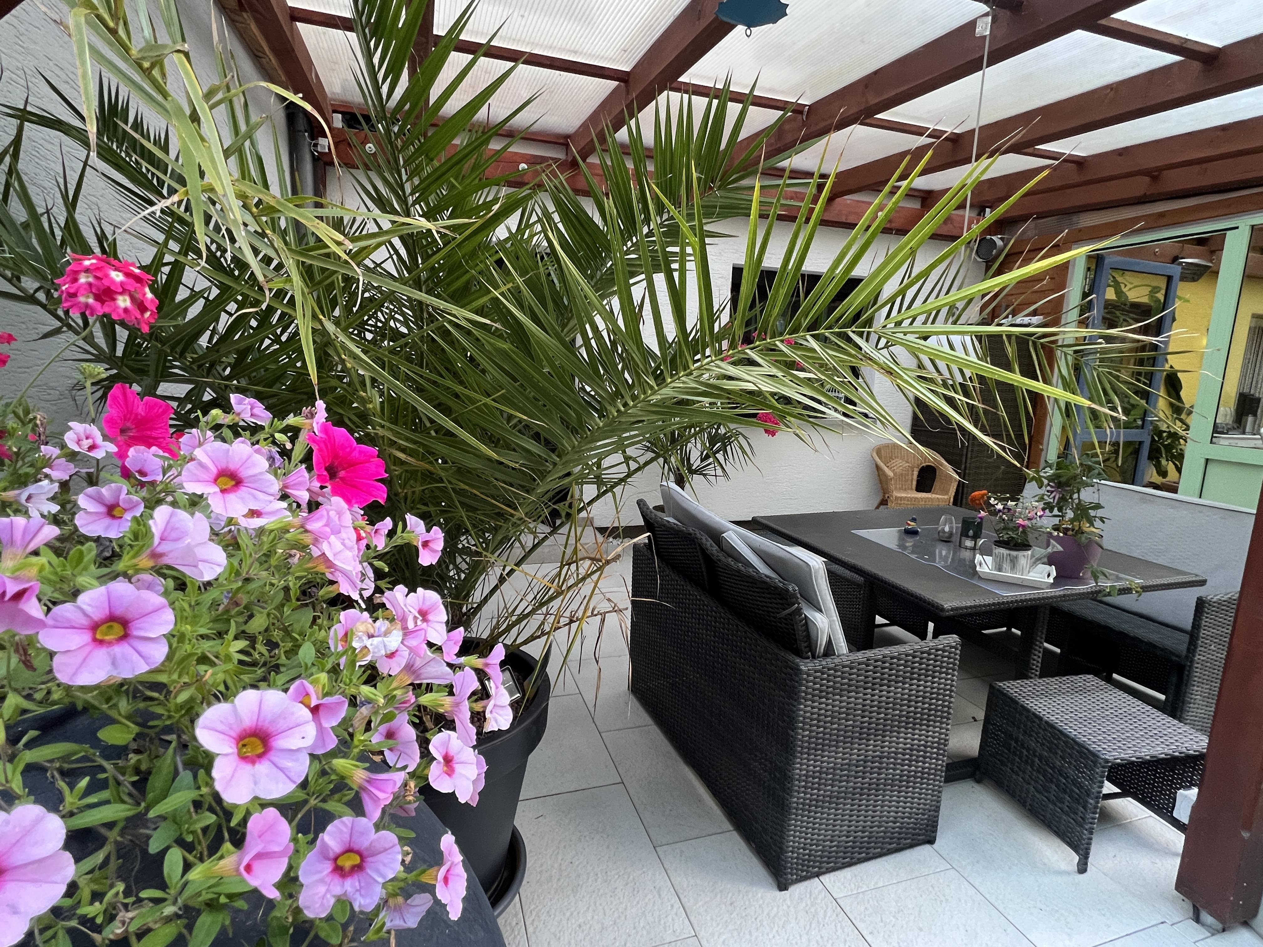 Ferien47 Pirna – Motiv