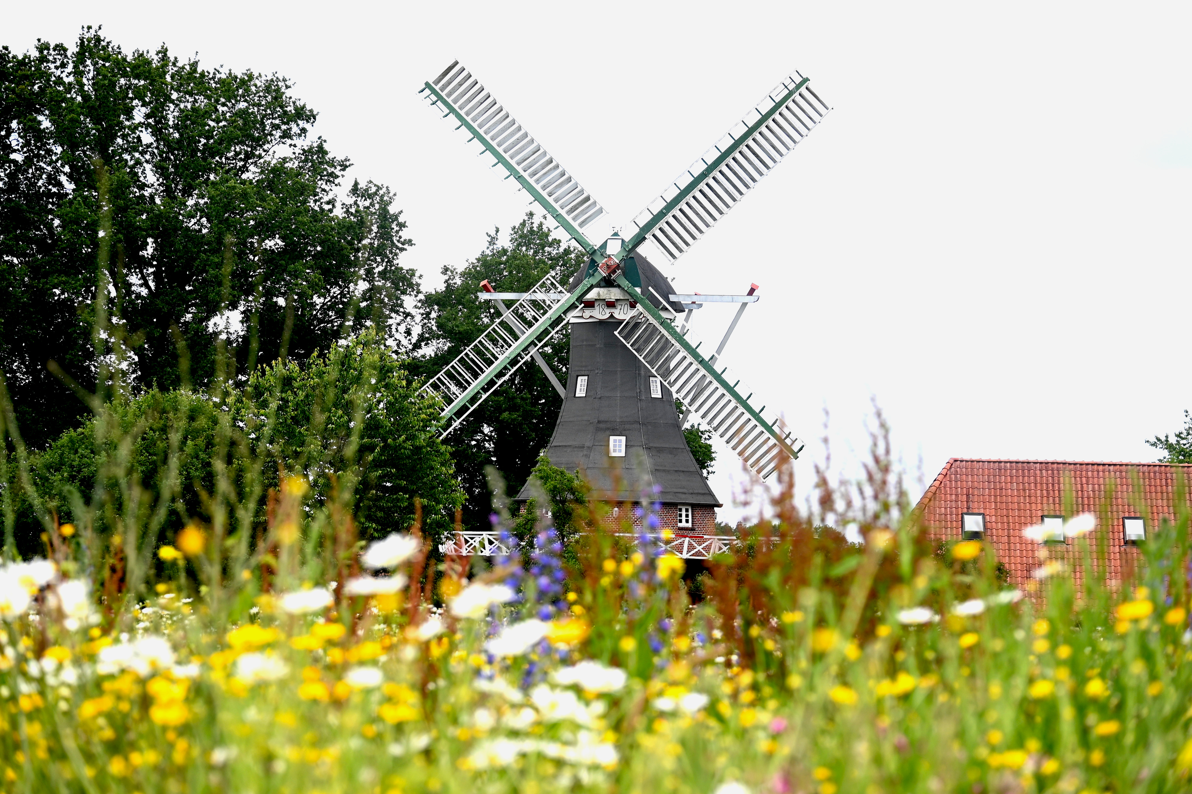 Windmühle 'De lütje Anja'