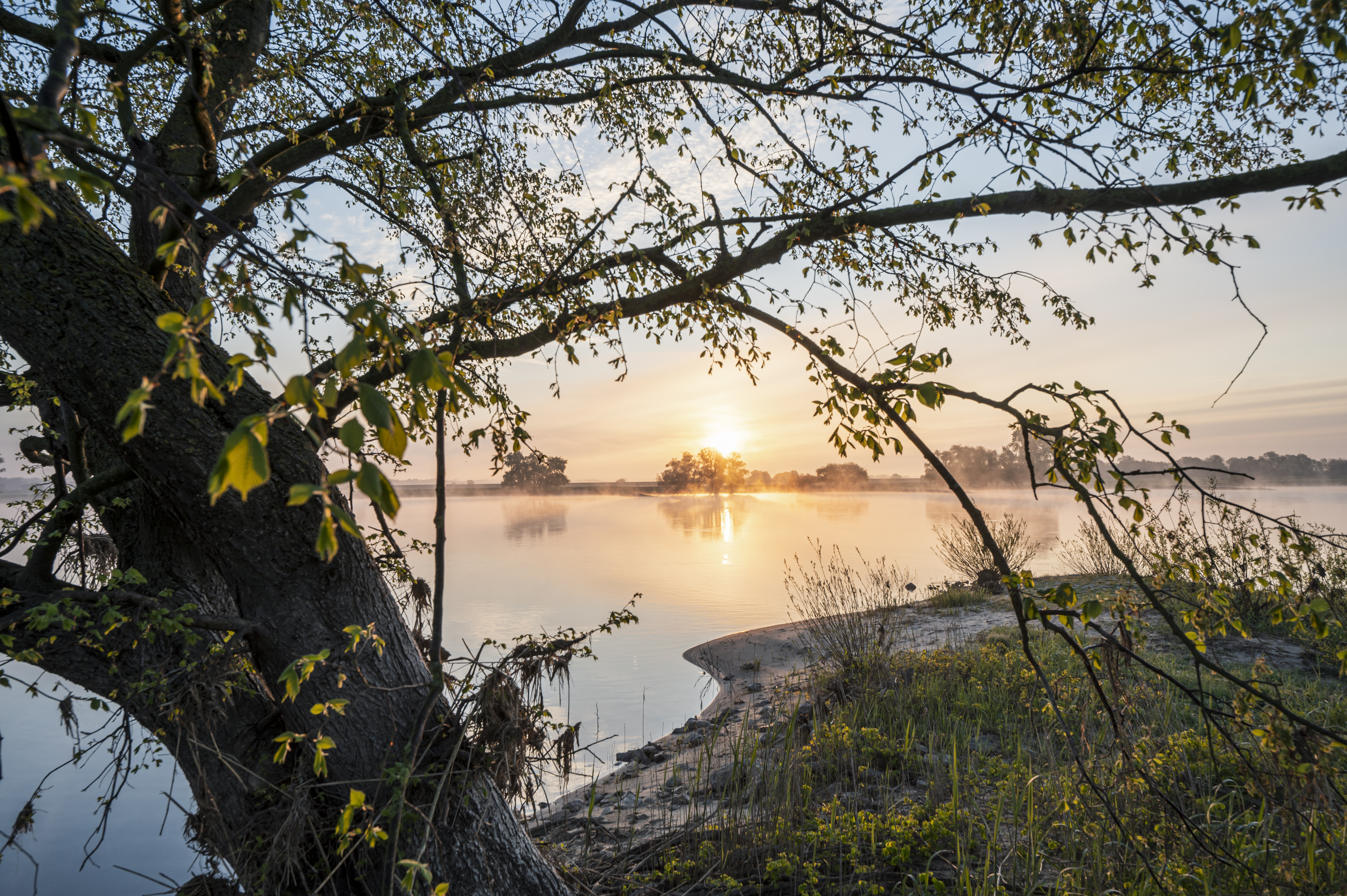 Biosphärenreservat Niedersächsische Elbtalaue