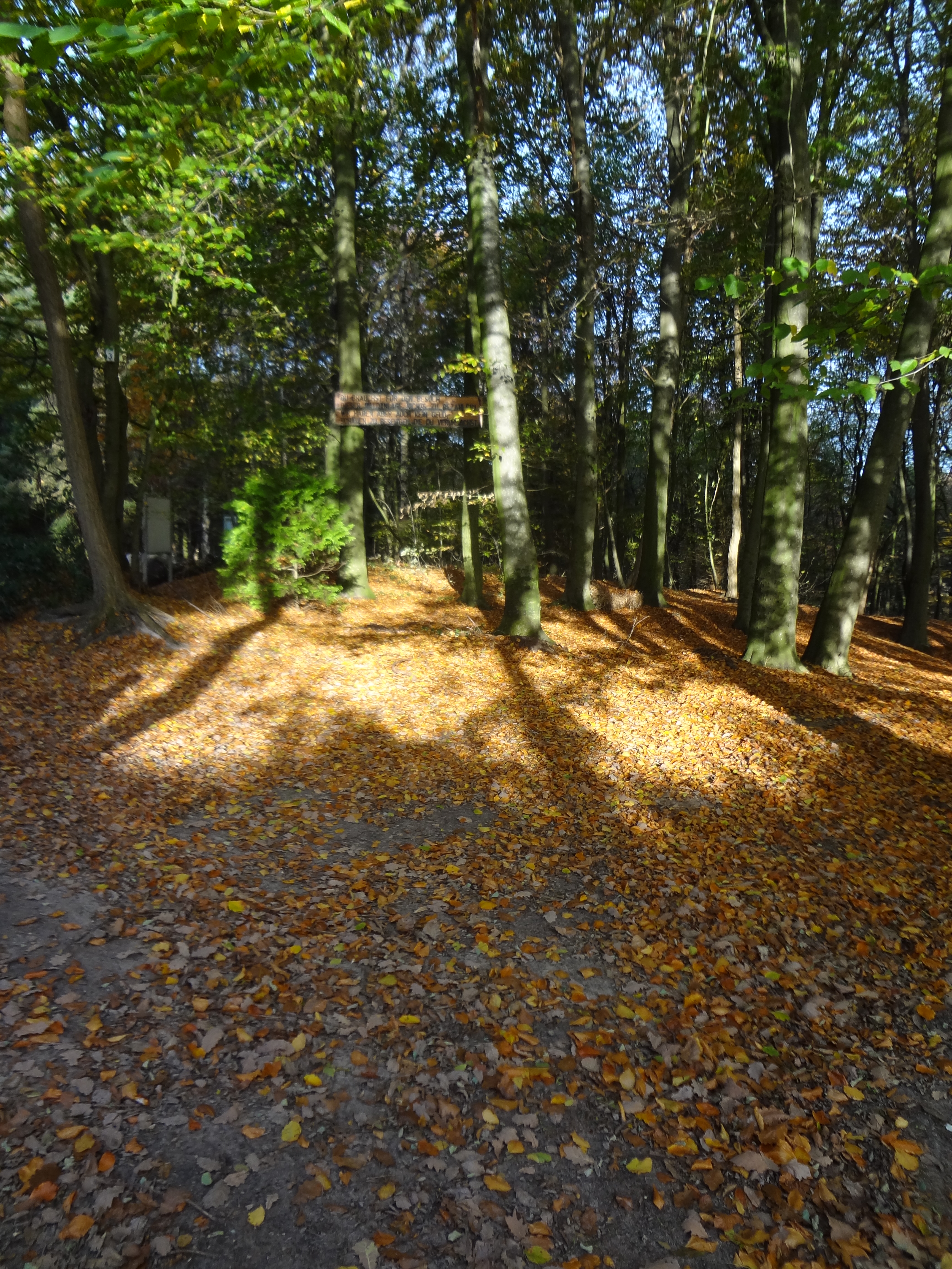 Waldbaden