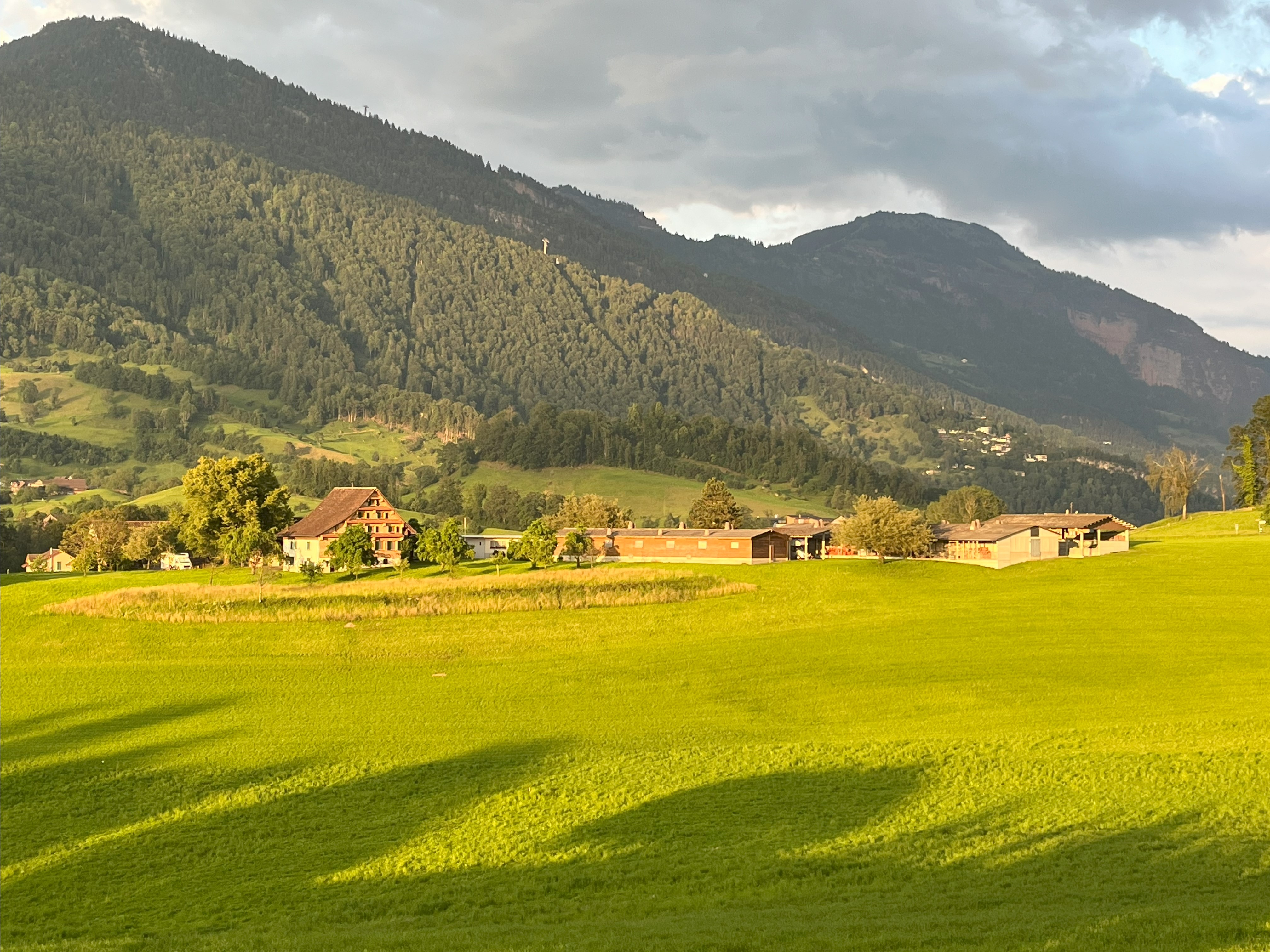 Stellplatz Hegihof - Camping