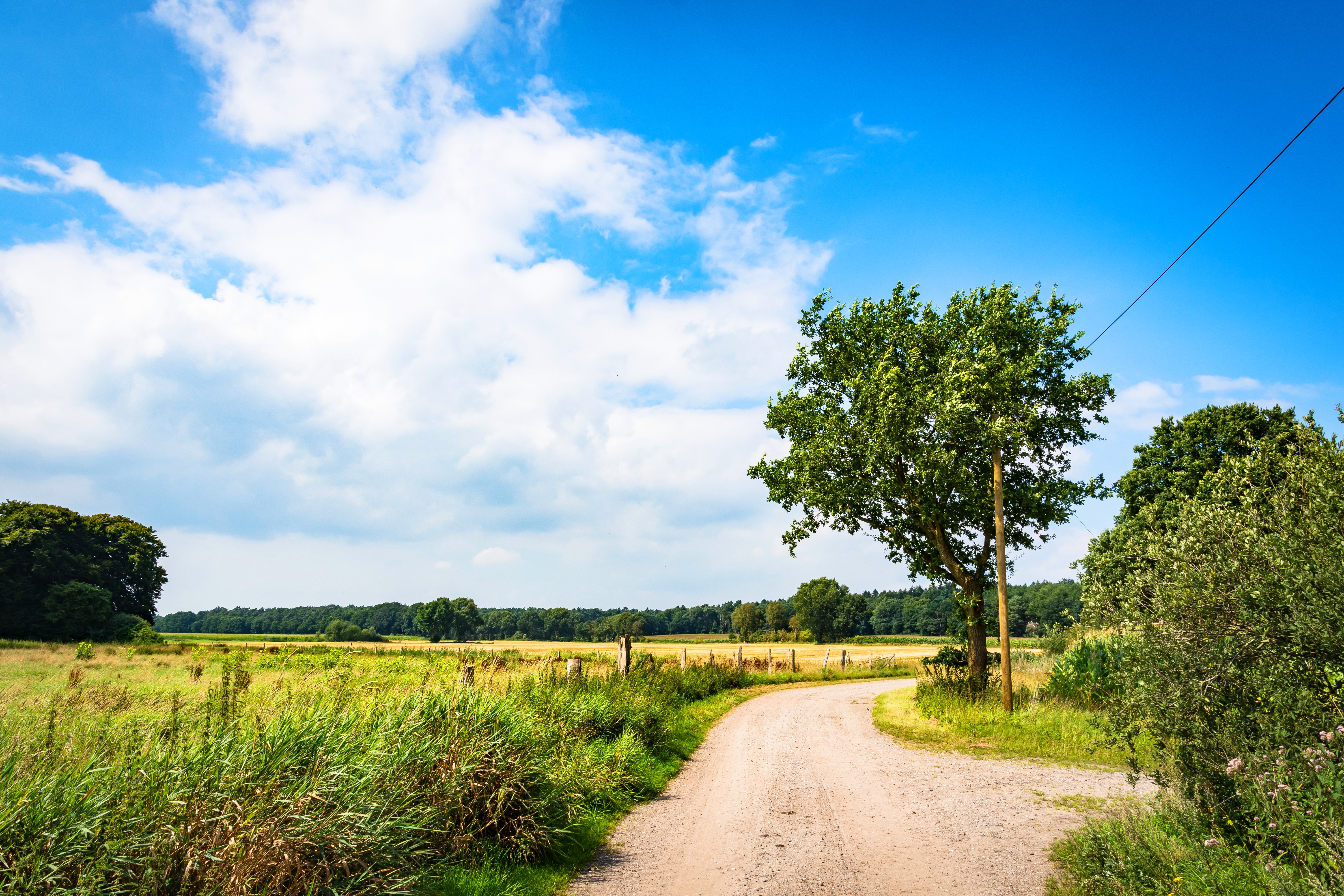 NORDPFAD Hinterholz und Hohenmoor 