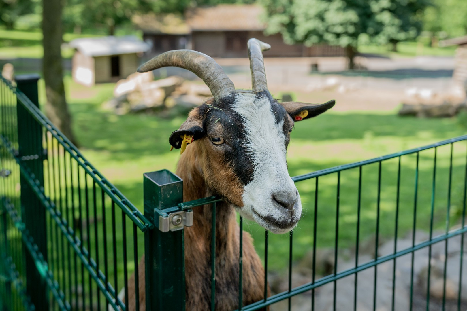 Wildpark Knüll