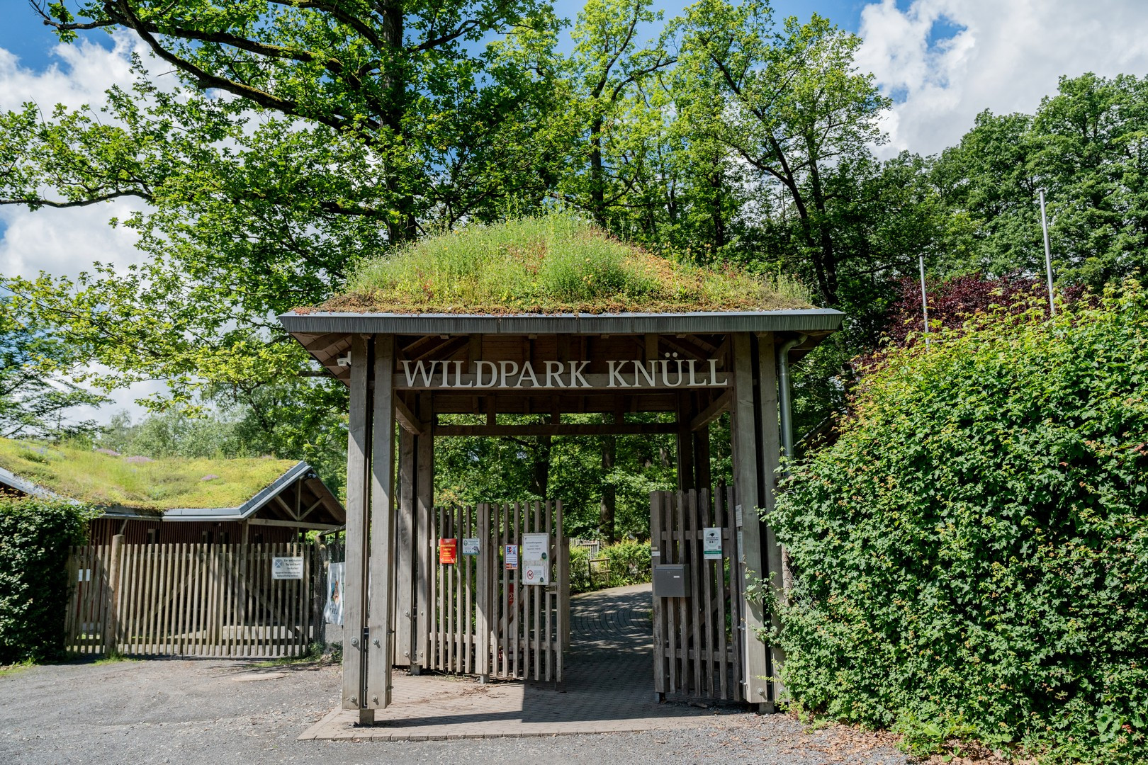 Wildpark Knüll