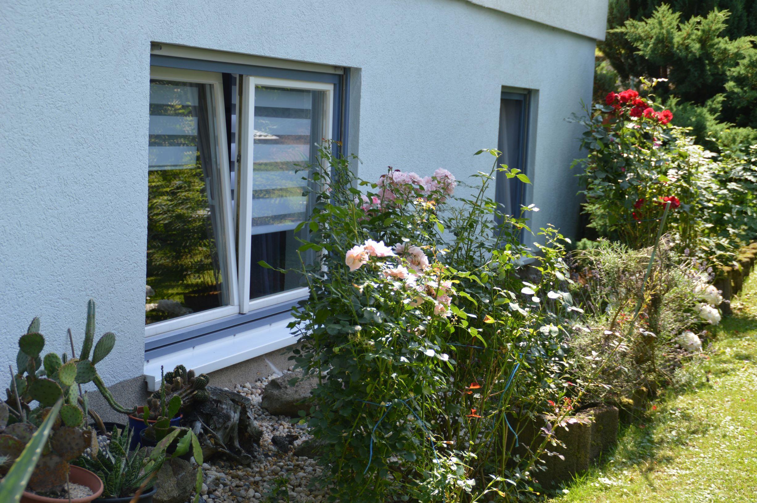Ferienwohnung Koslowski, Hohnstein