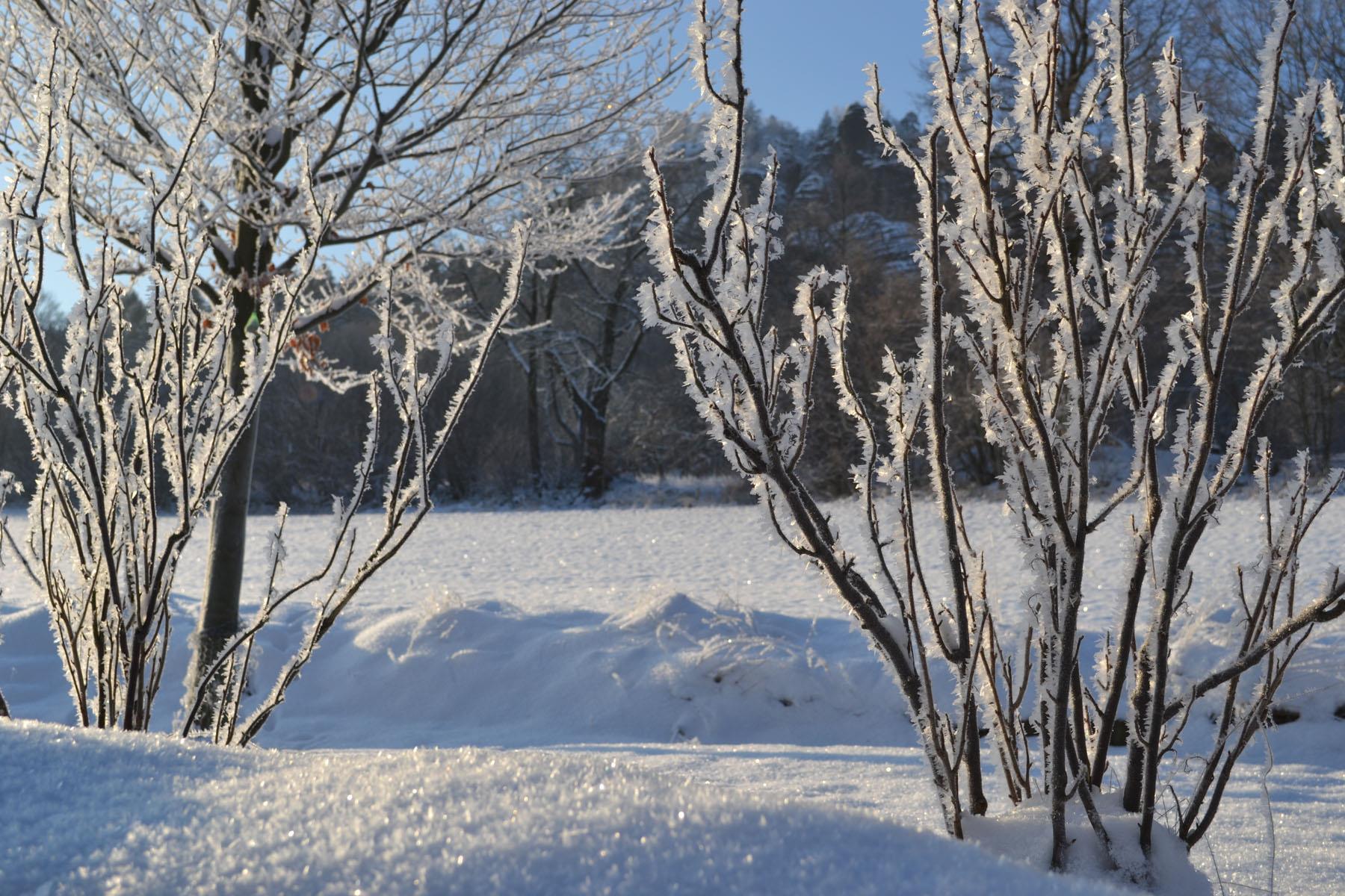 Winterlandschaft