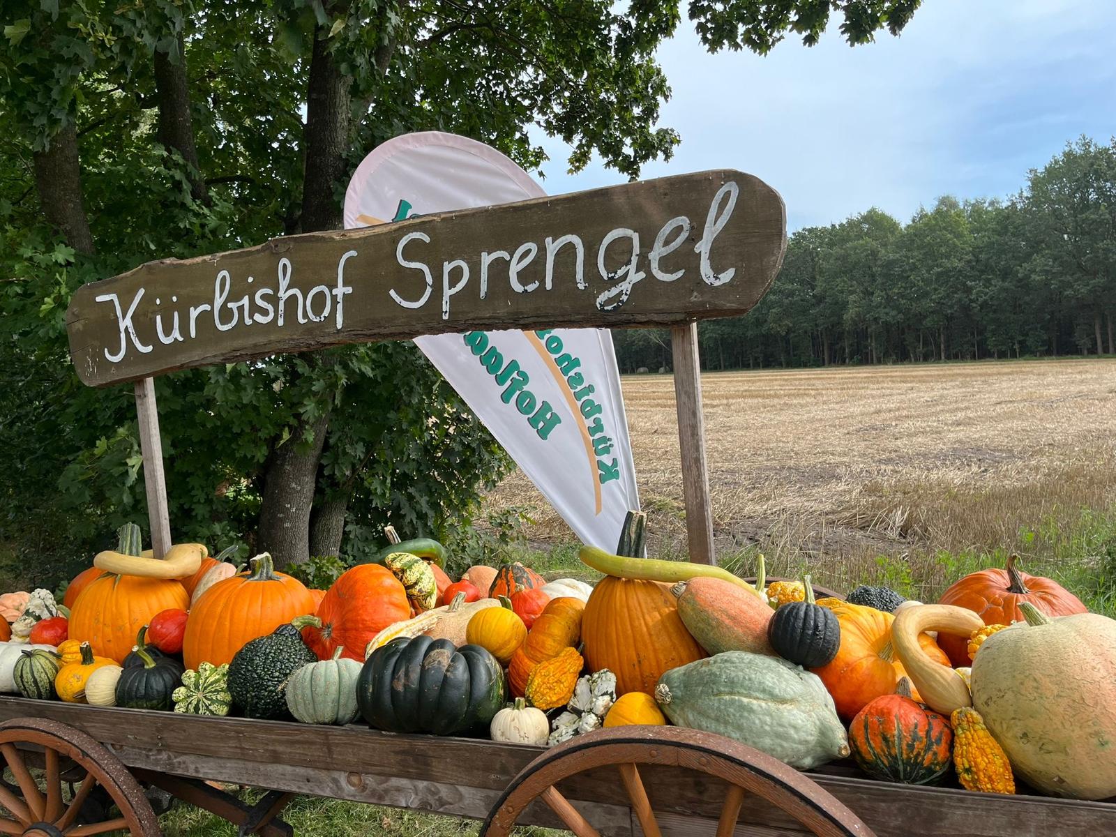 Kürbishof Sprengel