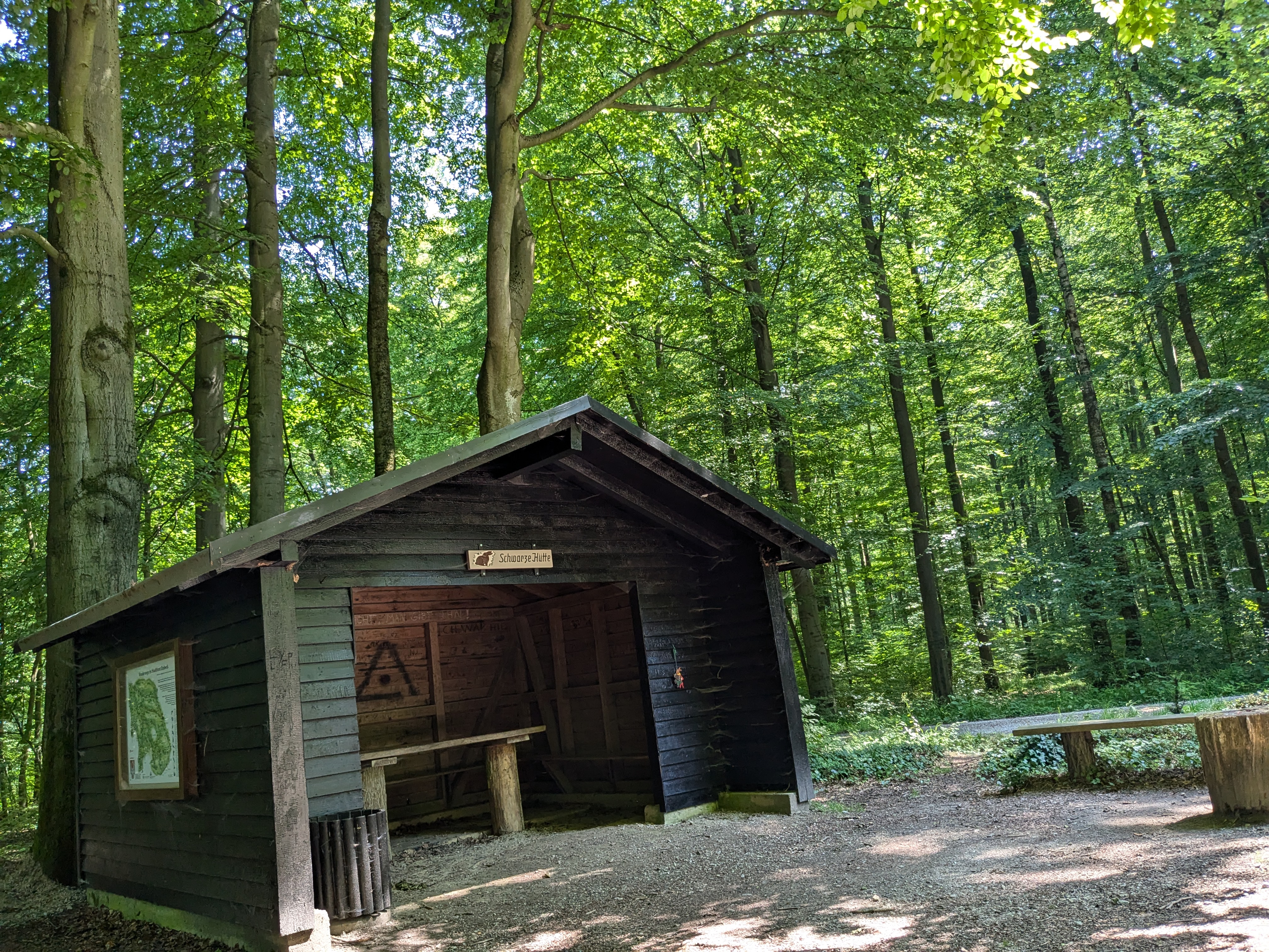 VitalWeg 8 – Wald runde zwischen Einbeck und Burgberg