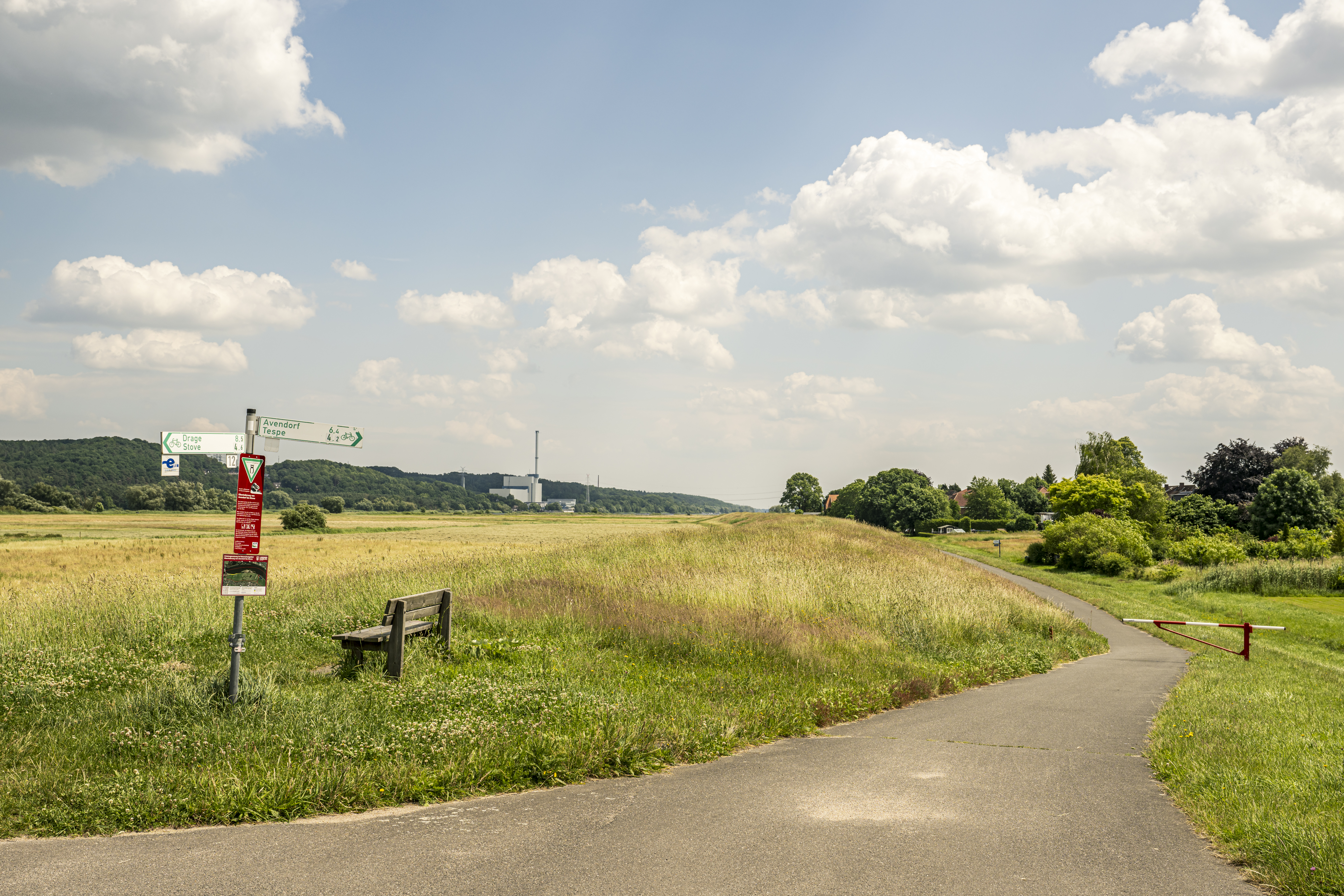 Deichvorland in Marschacht