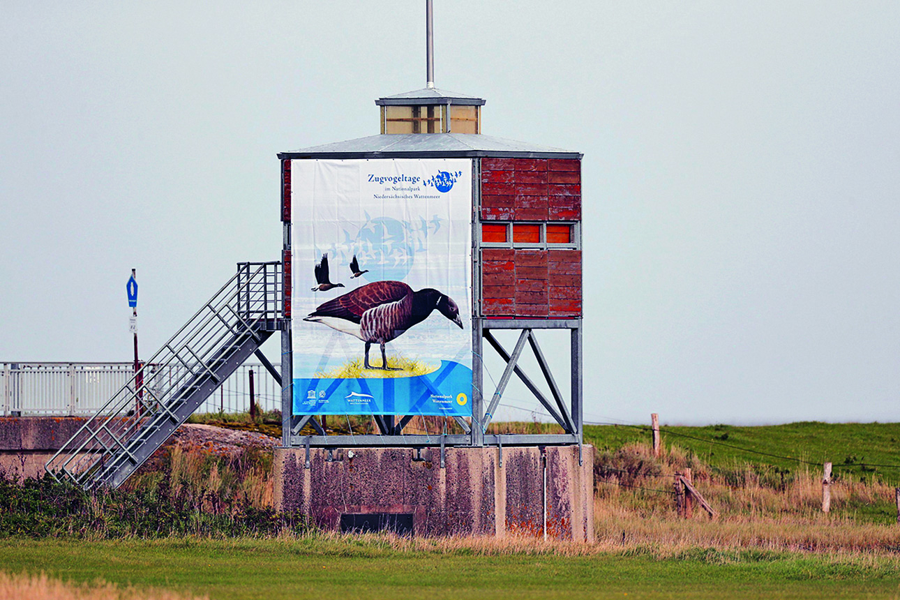 Vogelturm_Nessmersiel_NLPV_Onno_K_Gent_1290.jpg