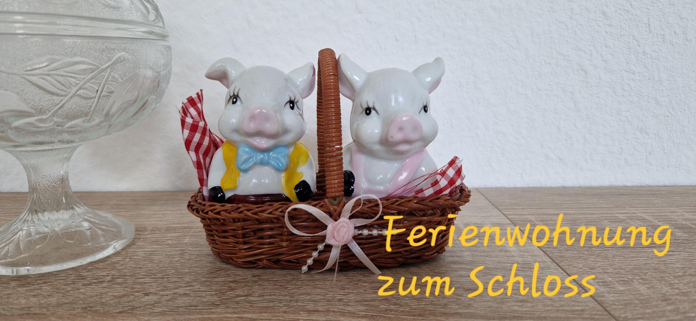 Ferienwohnung zum Schloss, Plauen