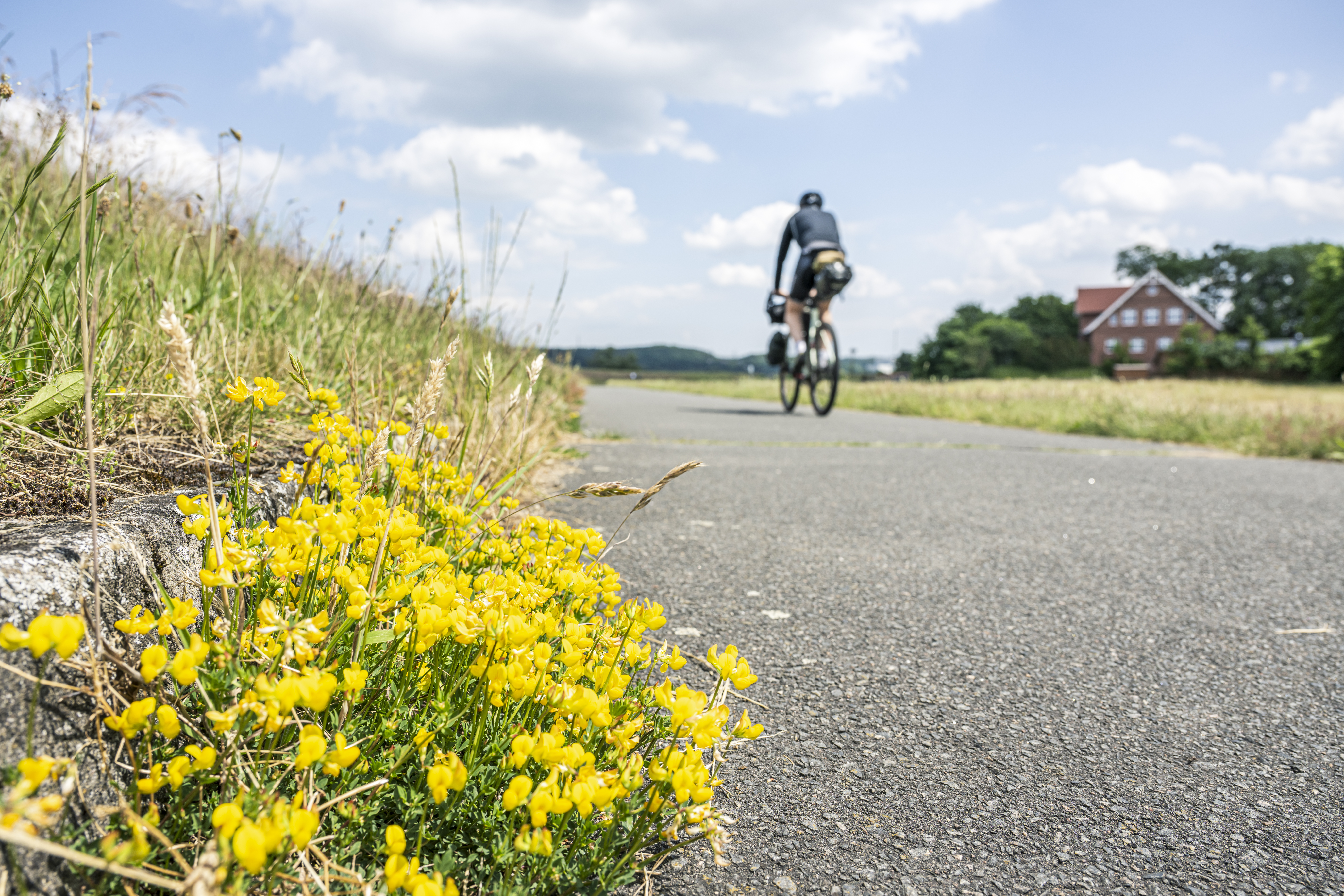 Radwege am Deich