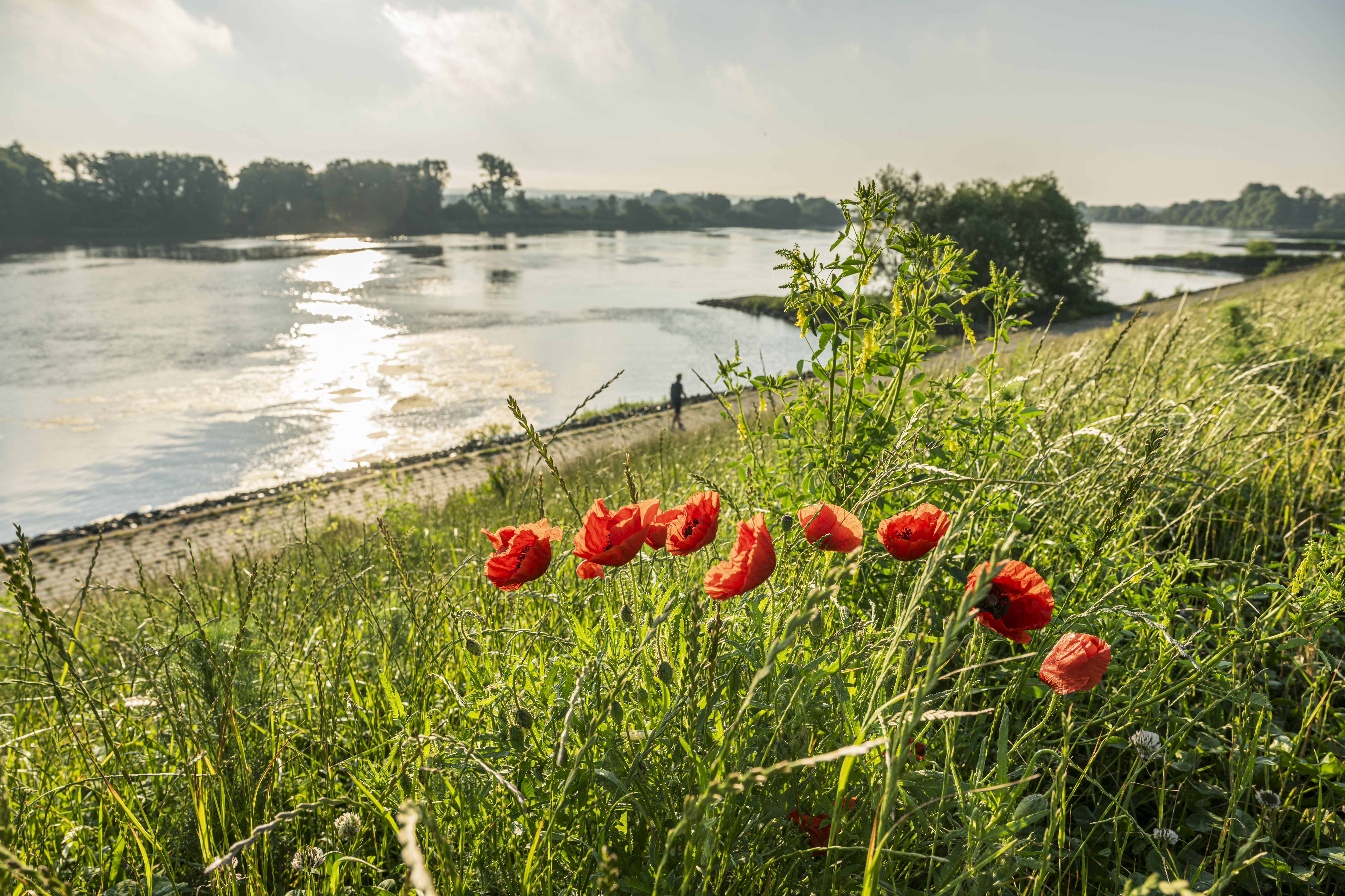 Elbe bei Stove