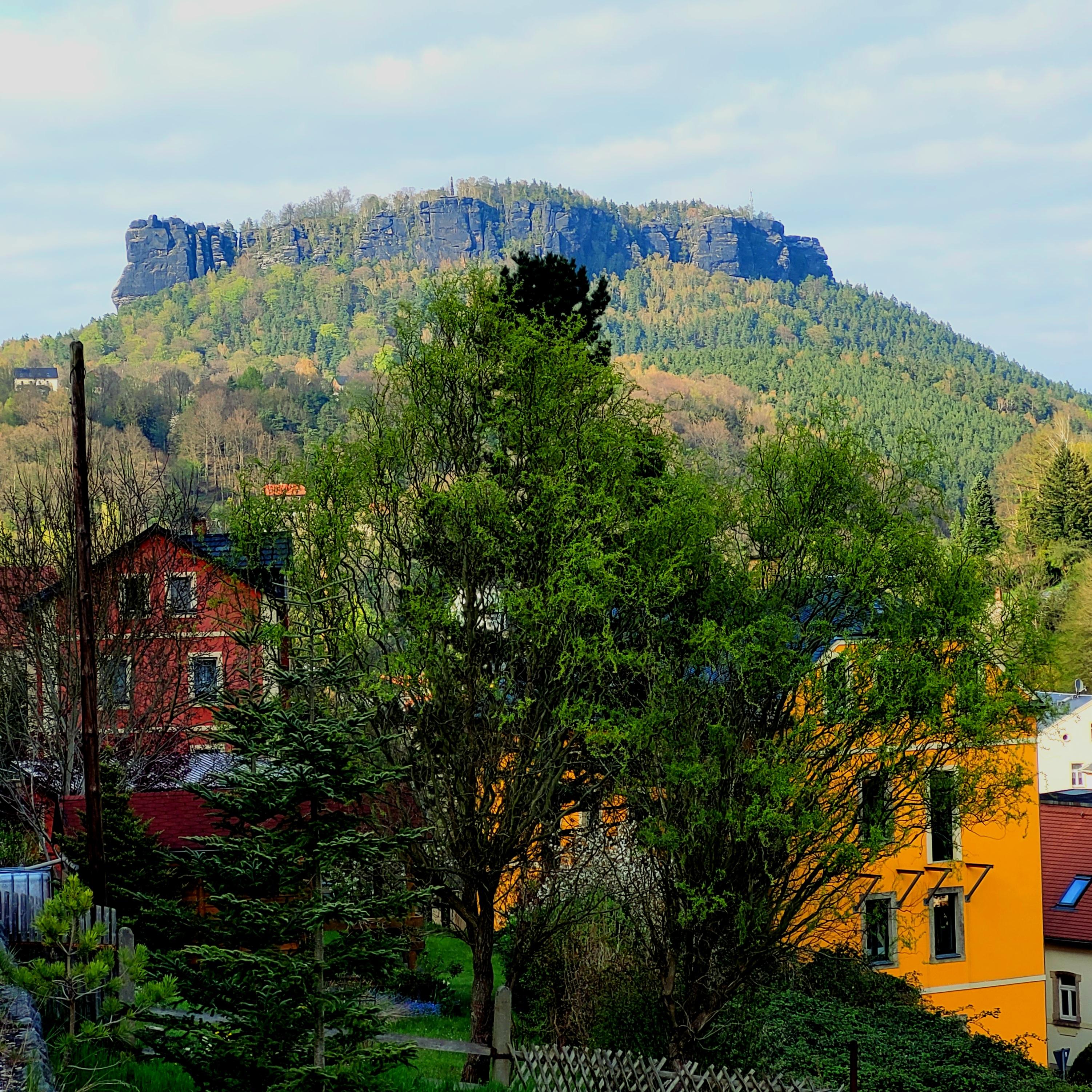 kurzer Fußweg für den Blick auf den Lilienstein