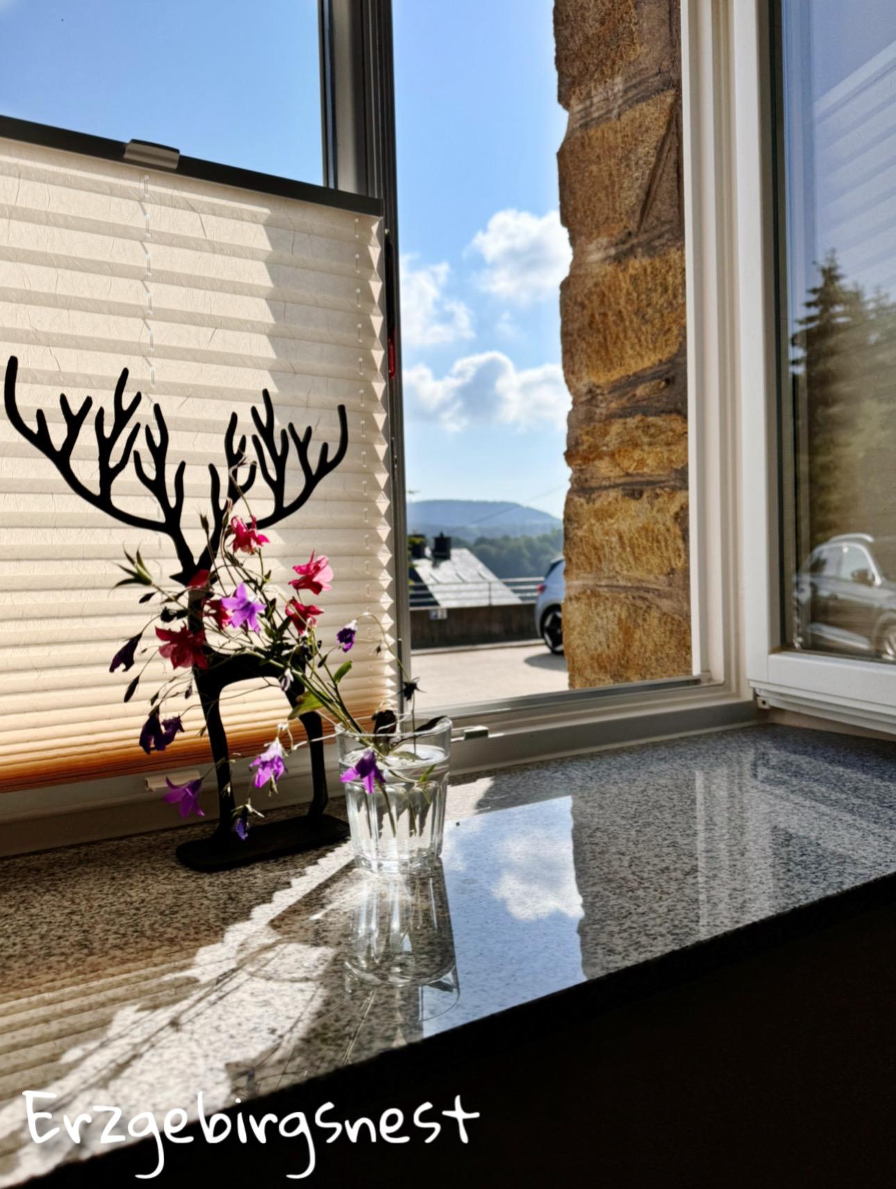 Ferienwohnung Erzgebirgsnest – Motiv