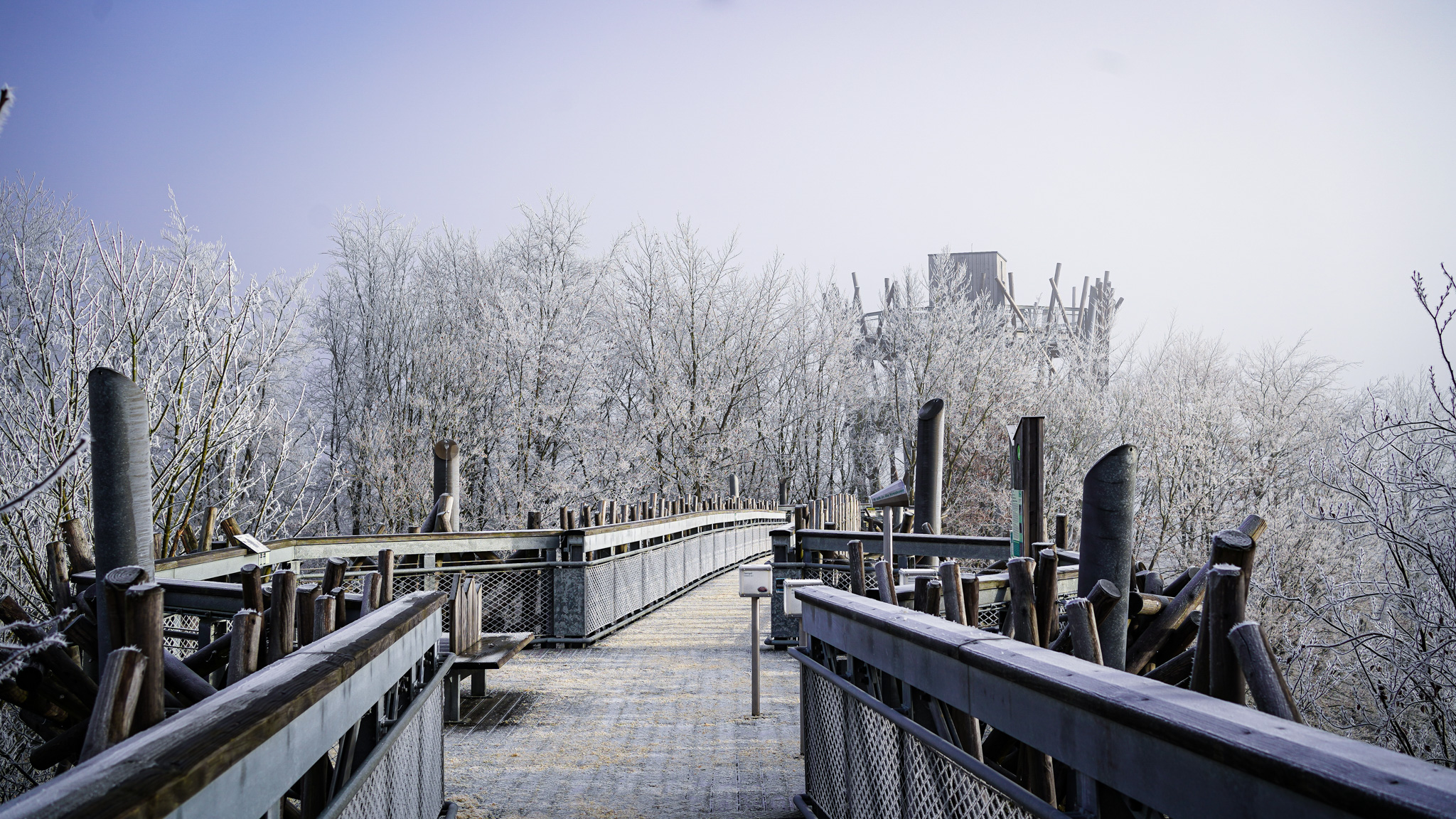 Winterzauber am Baumwipfelpfad