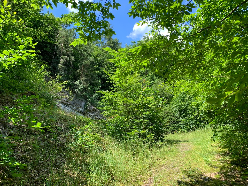 Auf dem Bergwerk Rundweg 2 bei Bergfreiheit