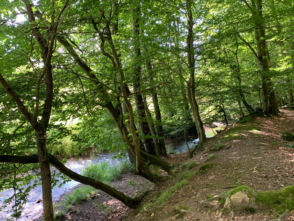 Auf dem Bergwerk Rundweg 2 bei Bergfreiheit