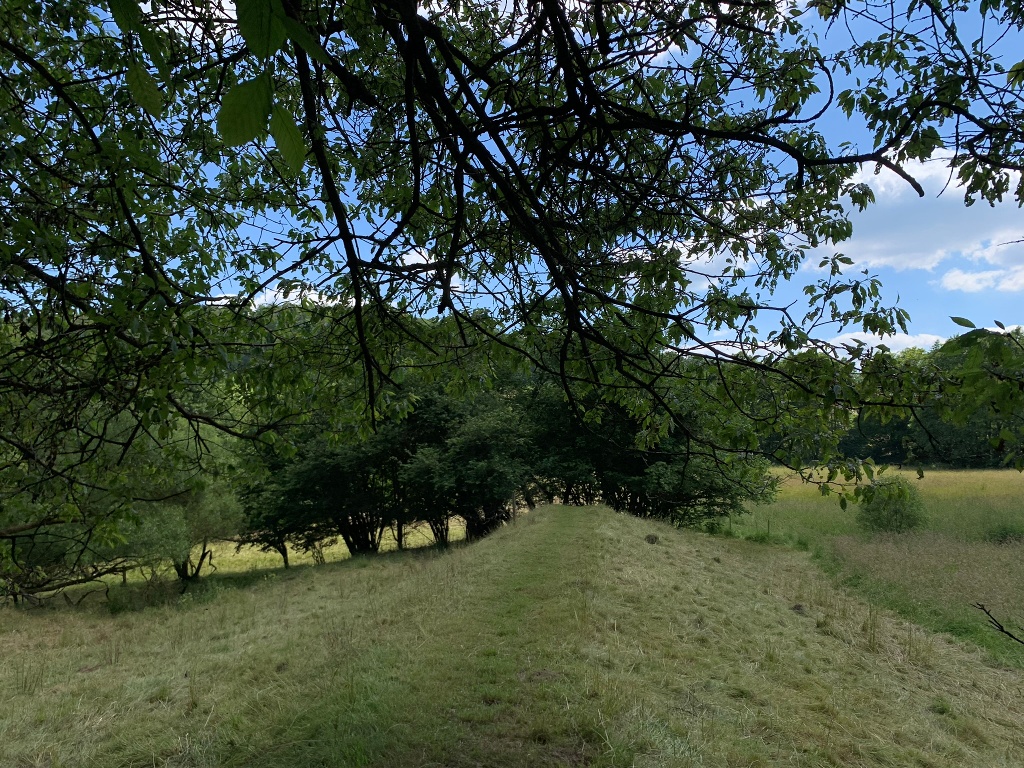 Auf dem Bergwerk Rundweg 2 bei Bergfreiheit