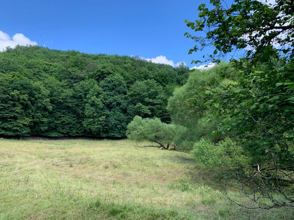 Auf dem Bergwerk Rundweg 2 bei Bergfreiheit