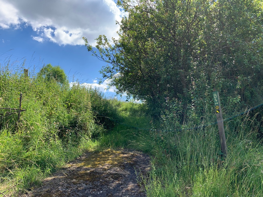 Auf dem Bergwerk Rundweg 2 bei Bergfreiheit